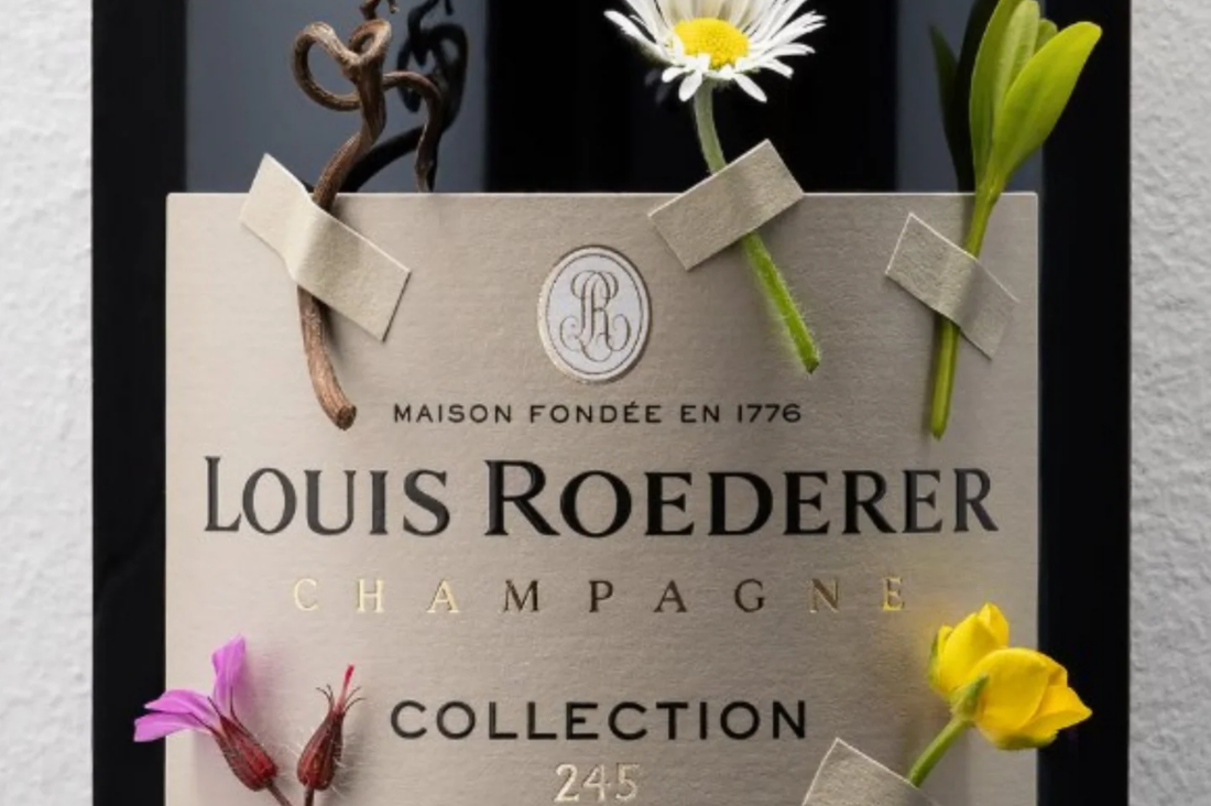 Vintage vs Non-Vintage Champagne