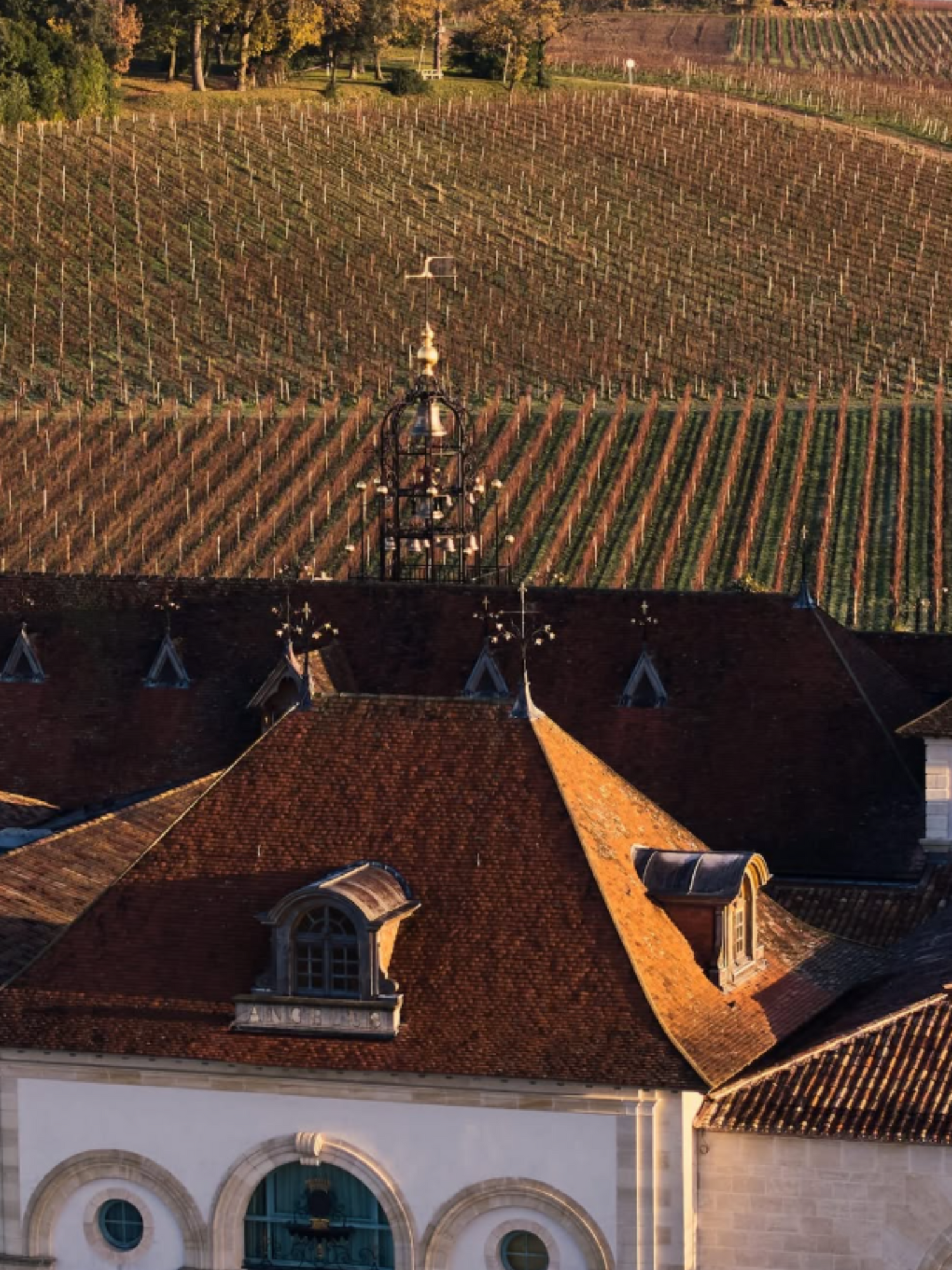 Chateau Angelus
