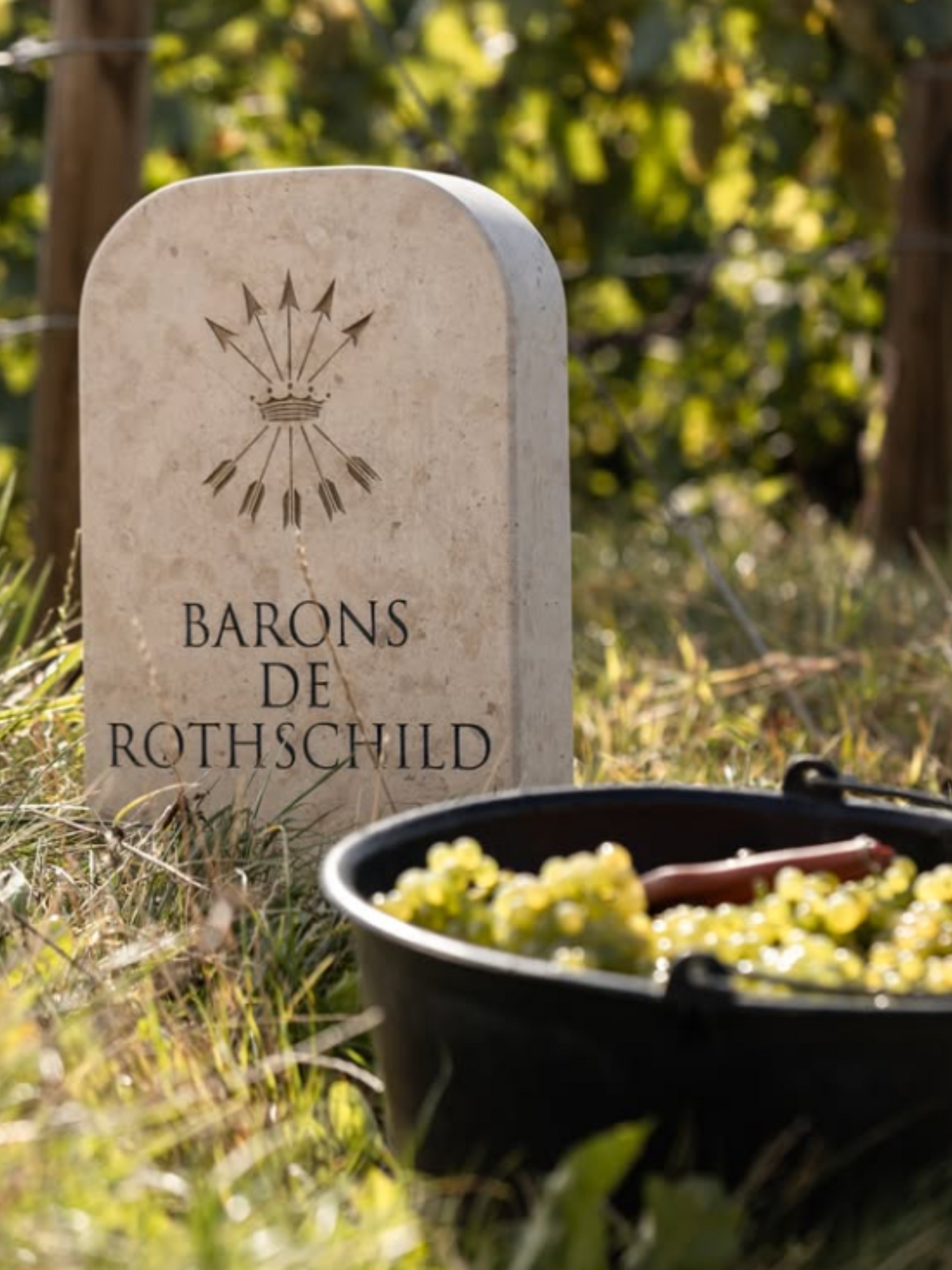 Champagne Barons de Rothschild