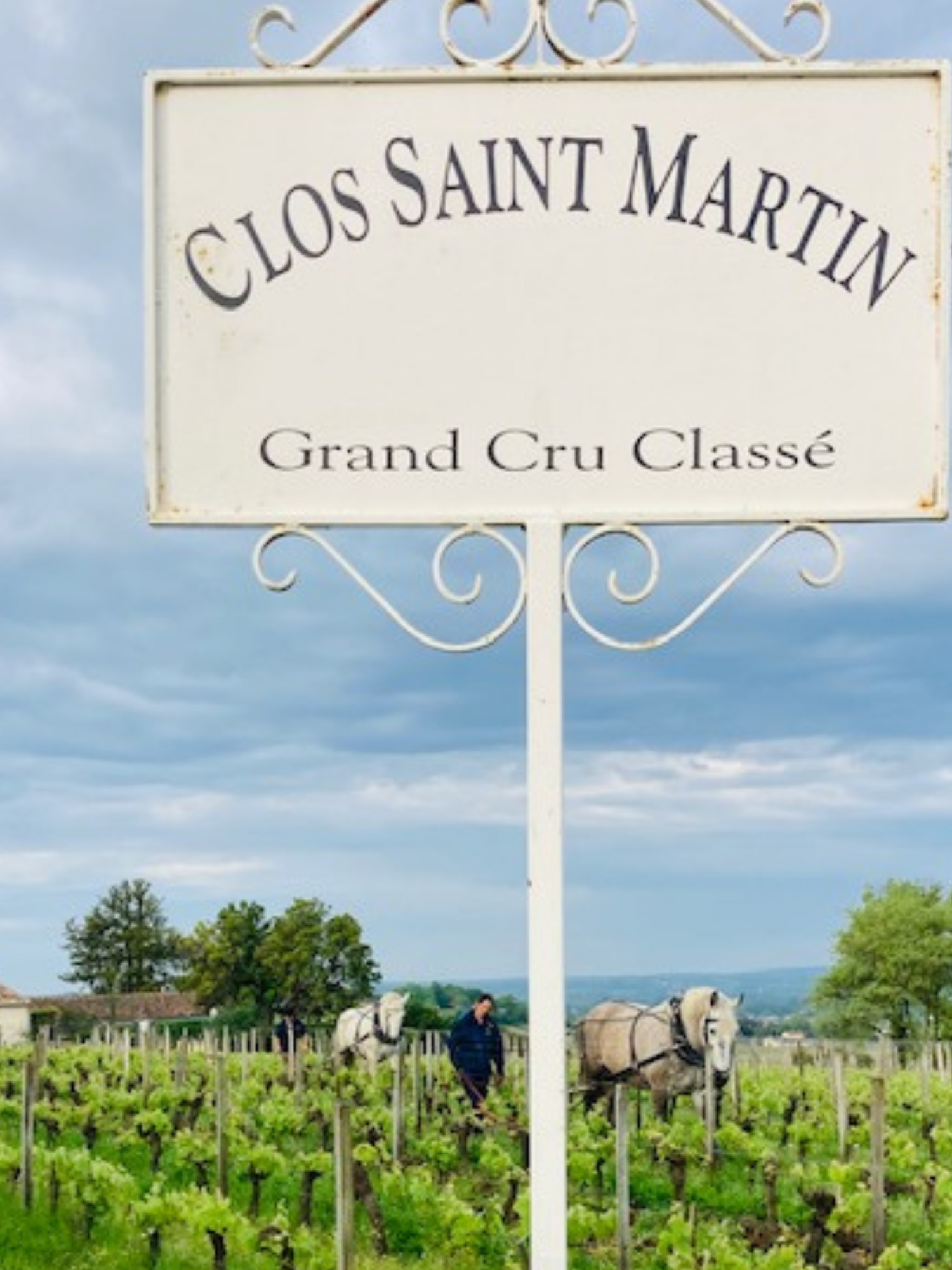 Clos Saint Martin