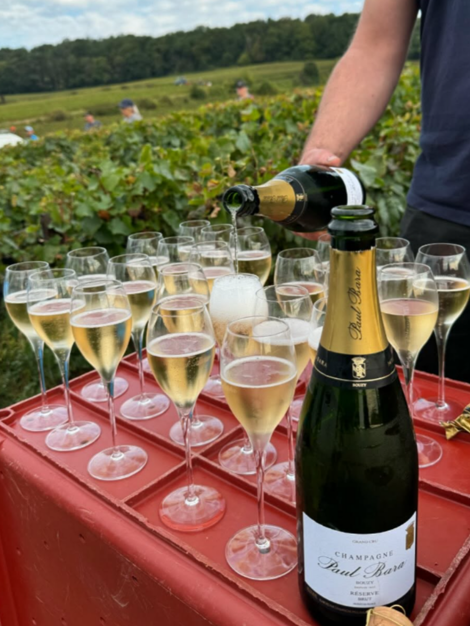 Champagne Paul Bara