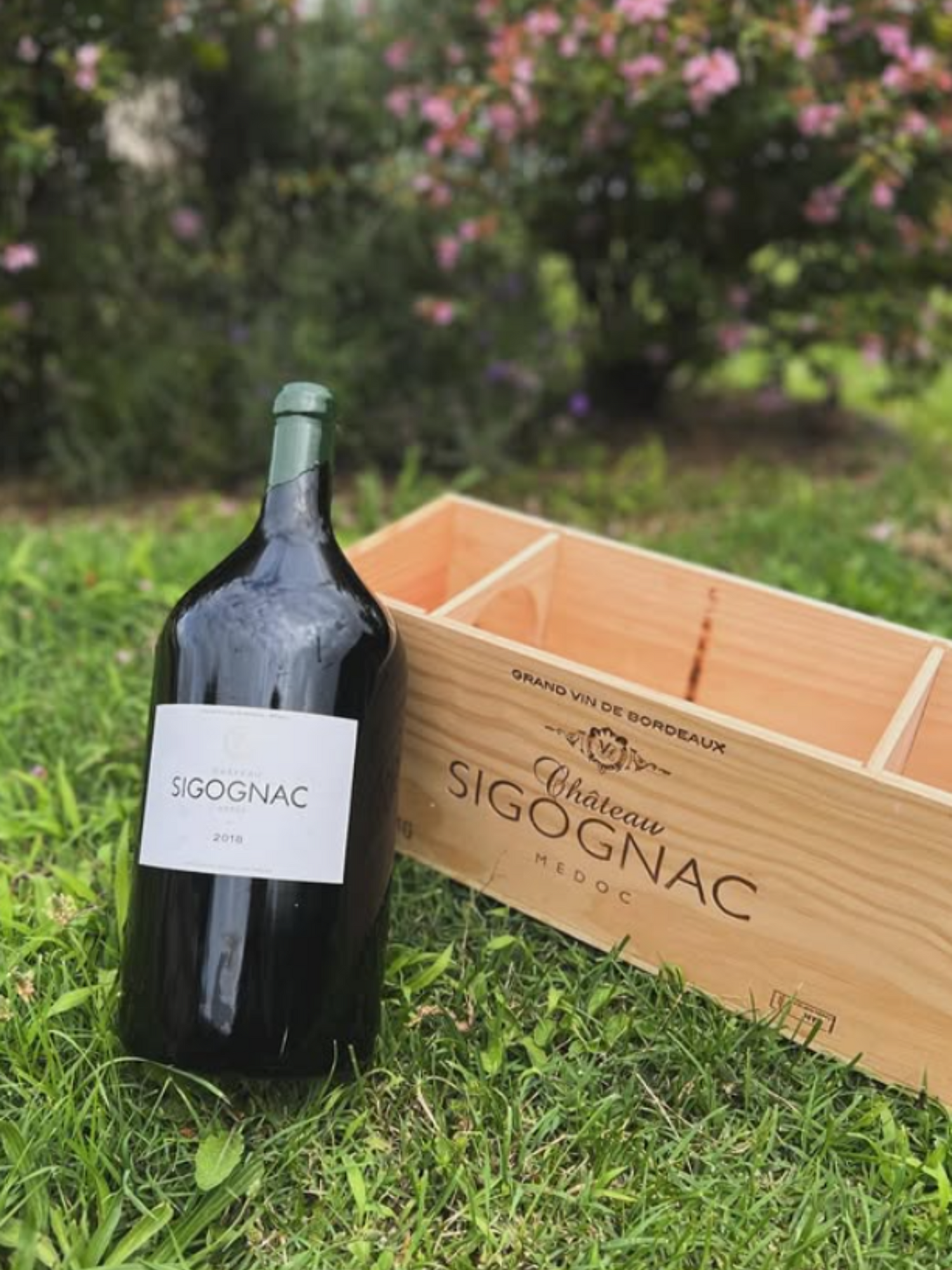 Château Sigognac
