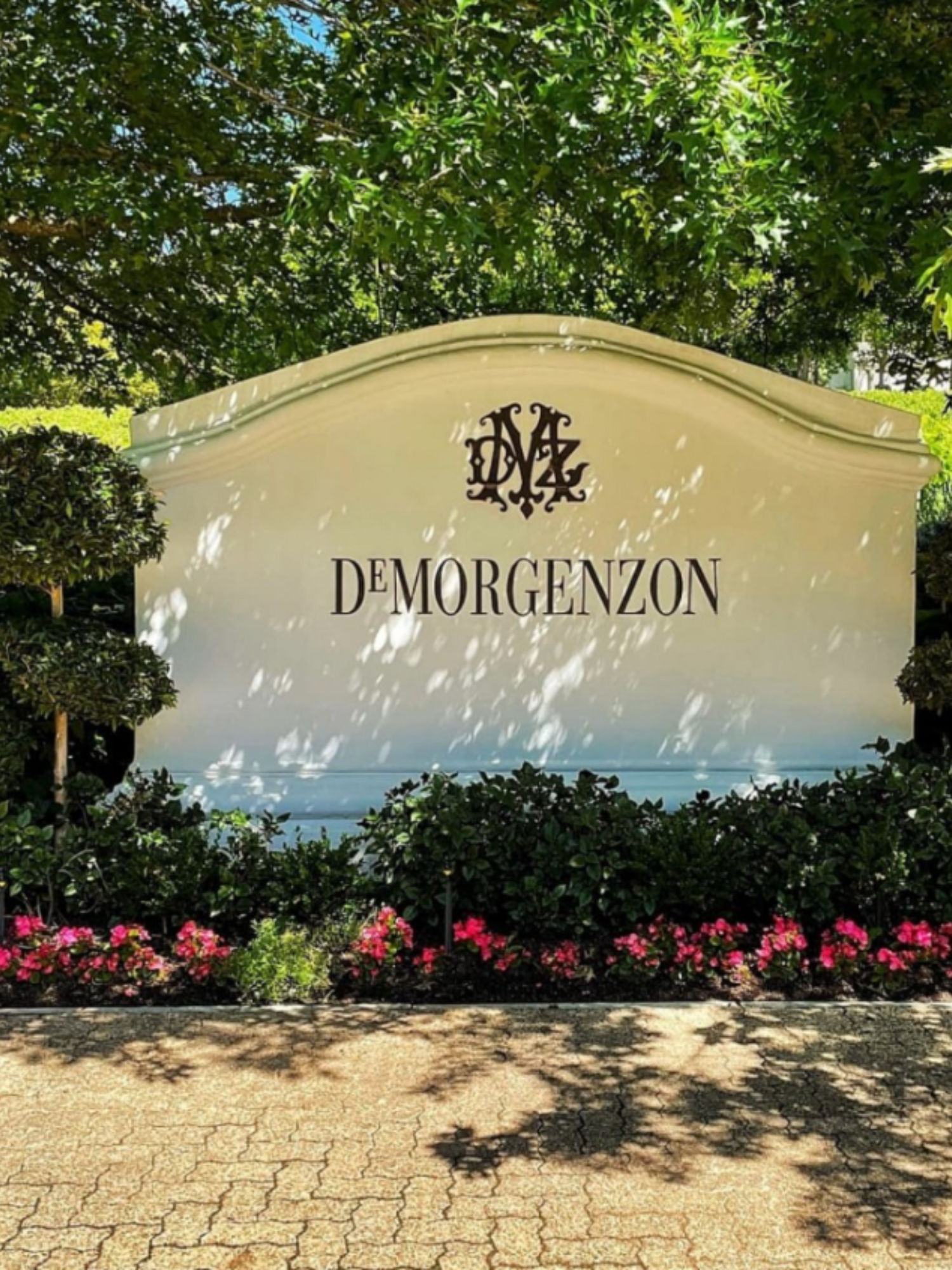 Demorgenzon