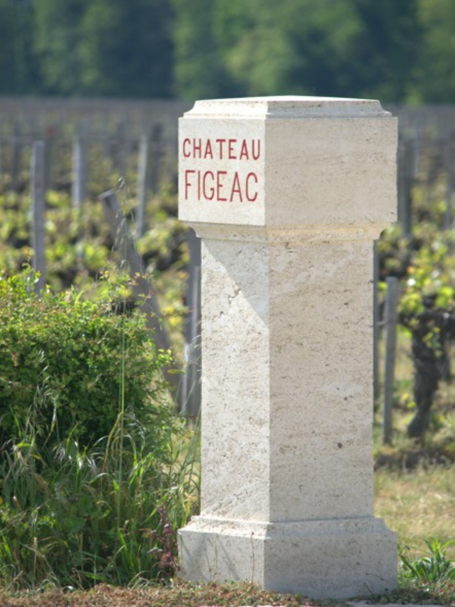 Chateau Figeac