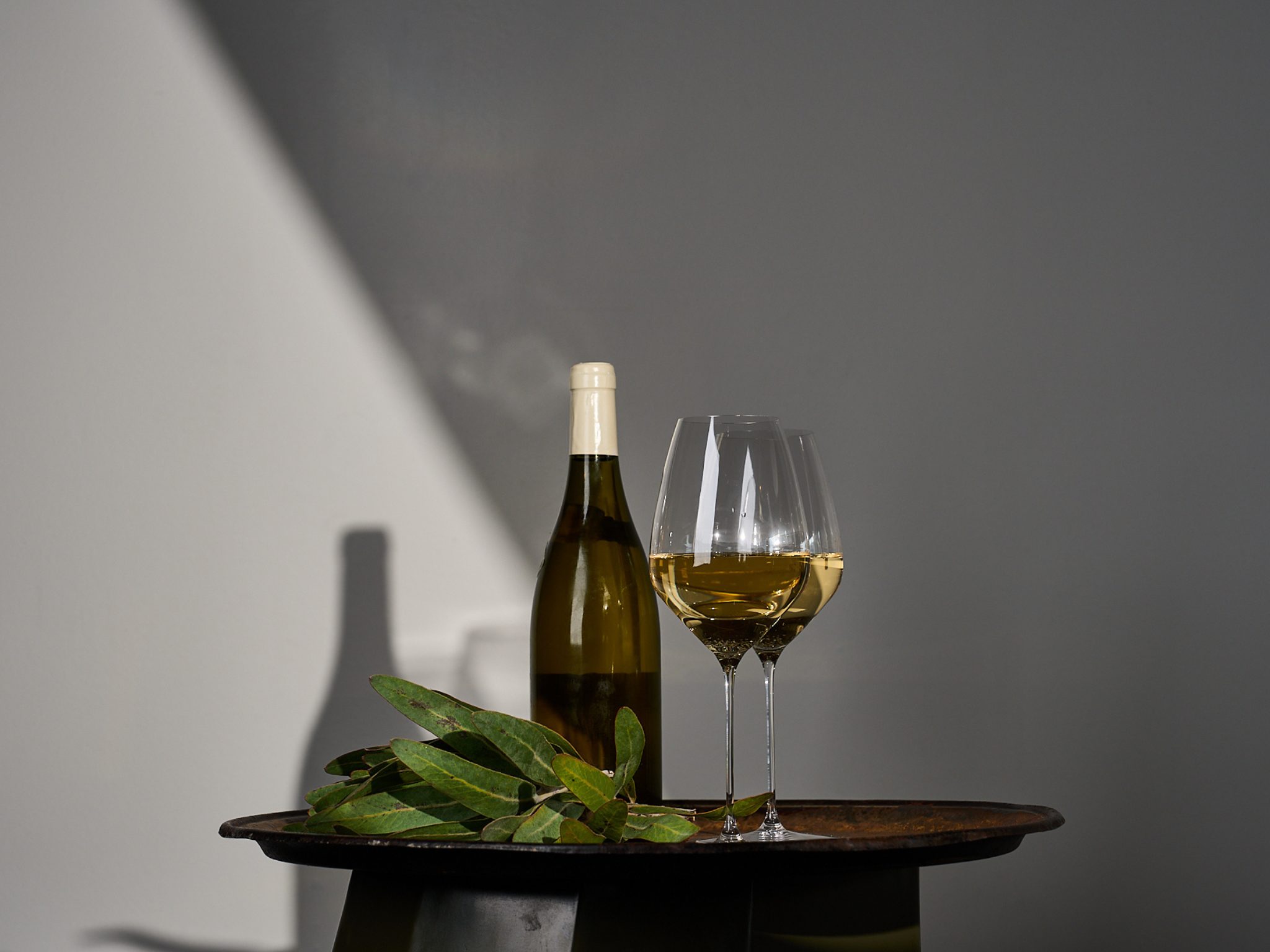 Pinot Gris
