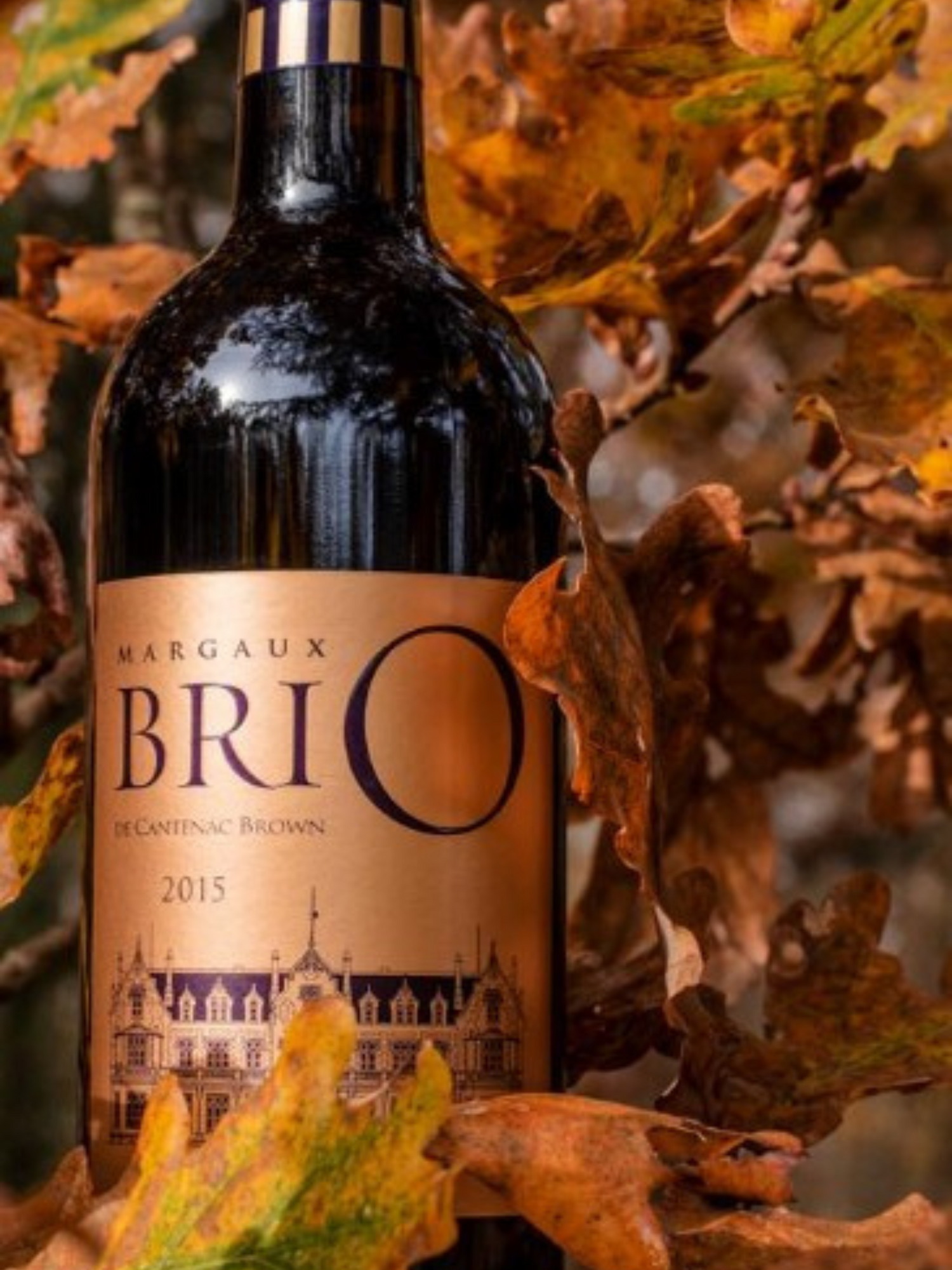 Chateau Cantenac Brown