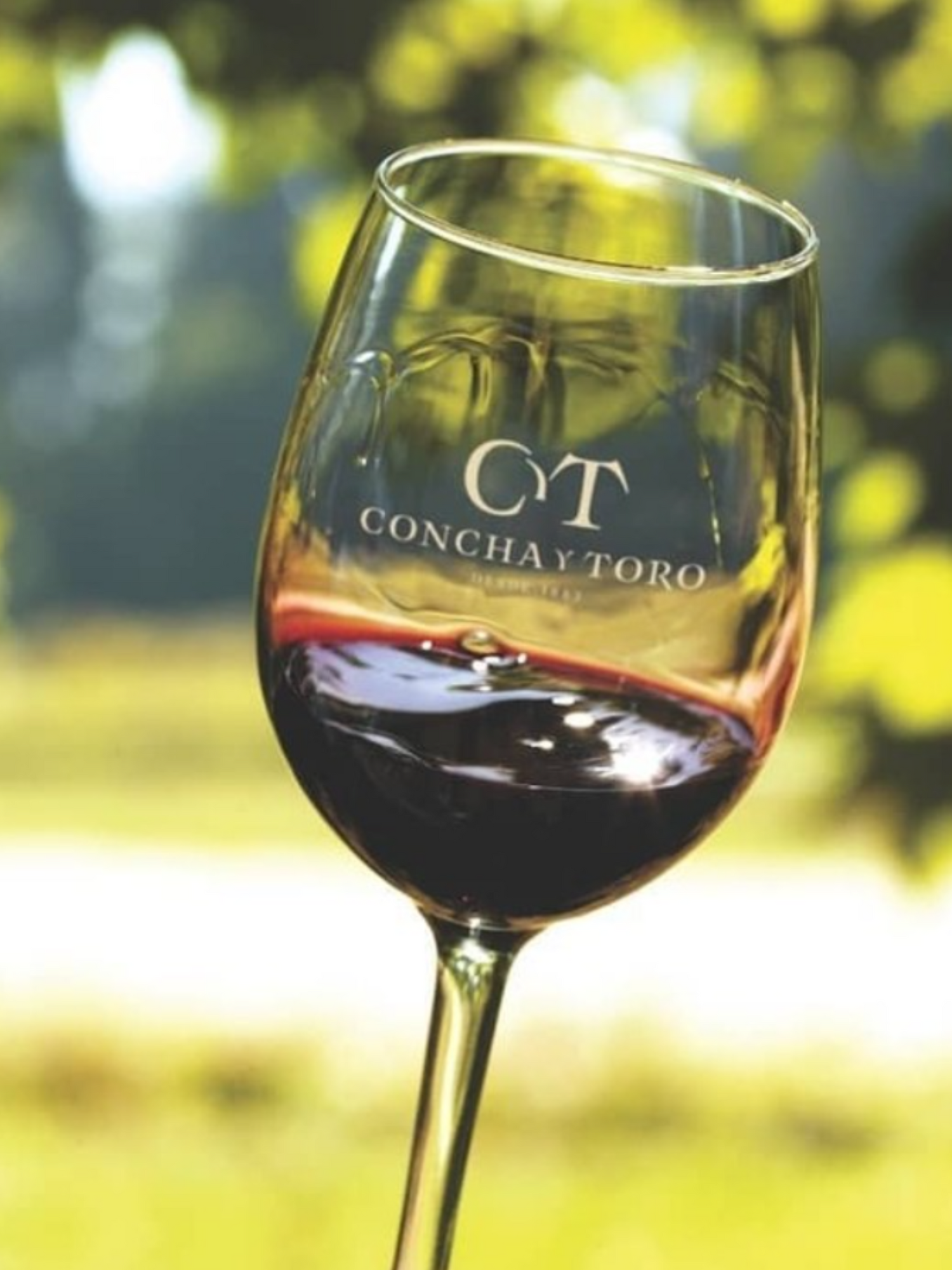 Concha y Toro