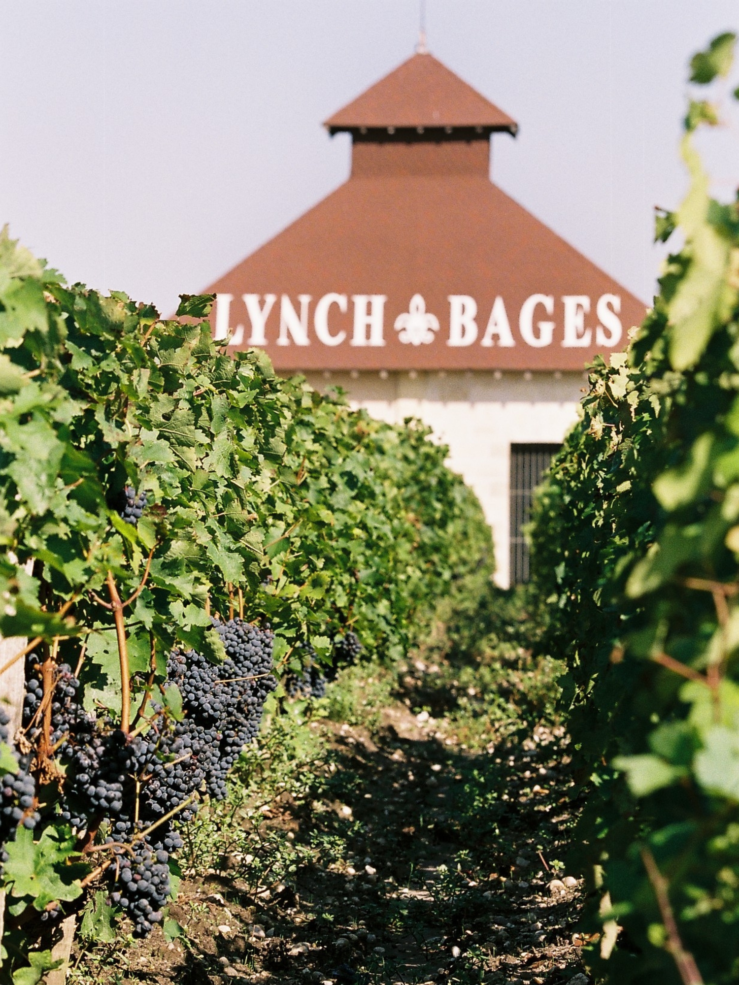 Chateau Lynch-Bages