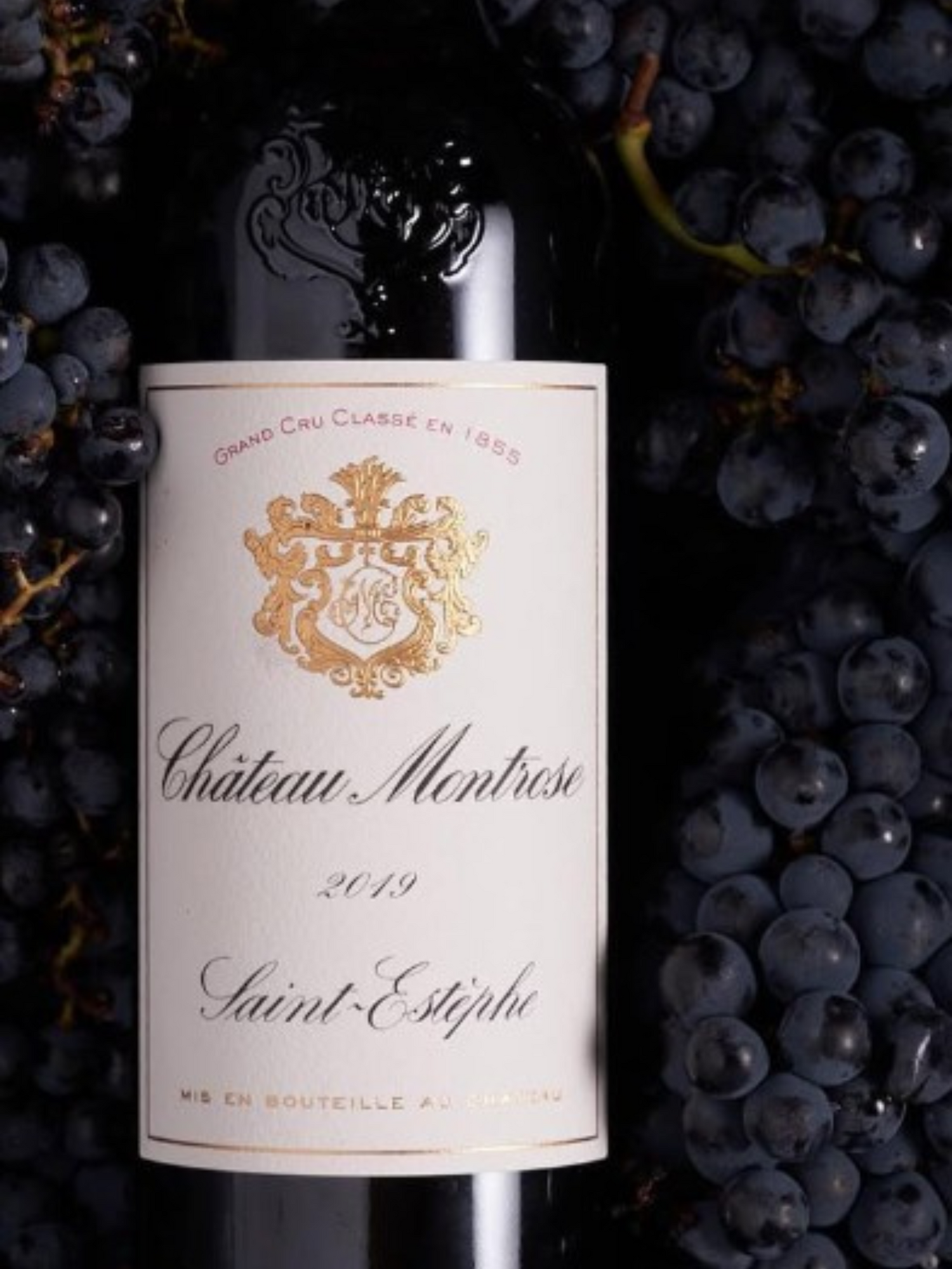 Chateau Montrose