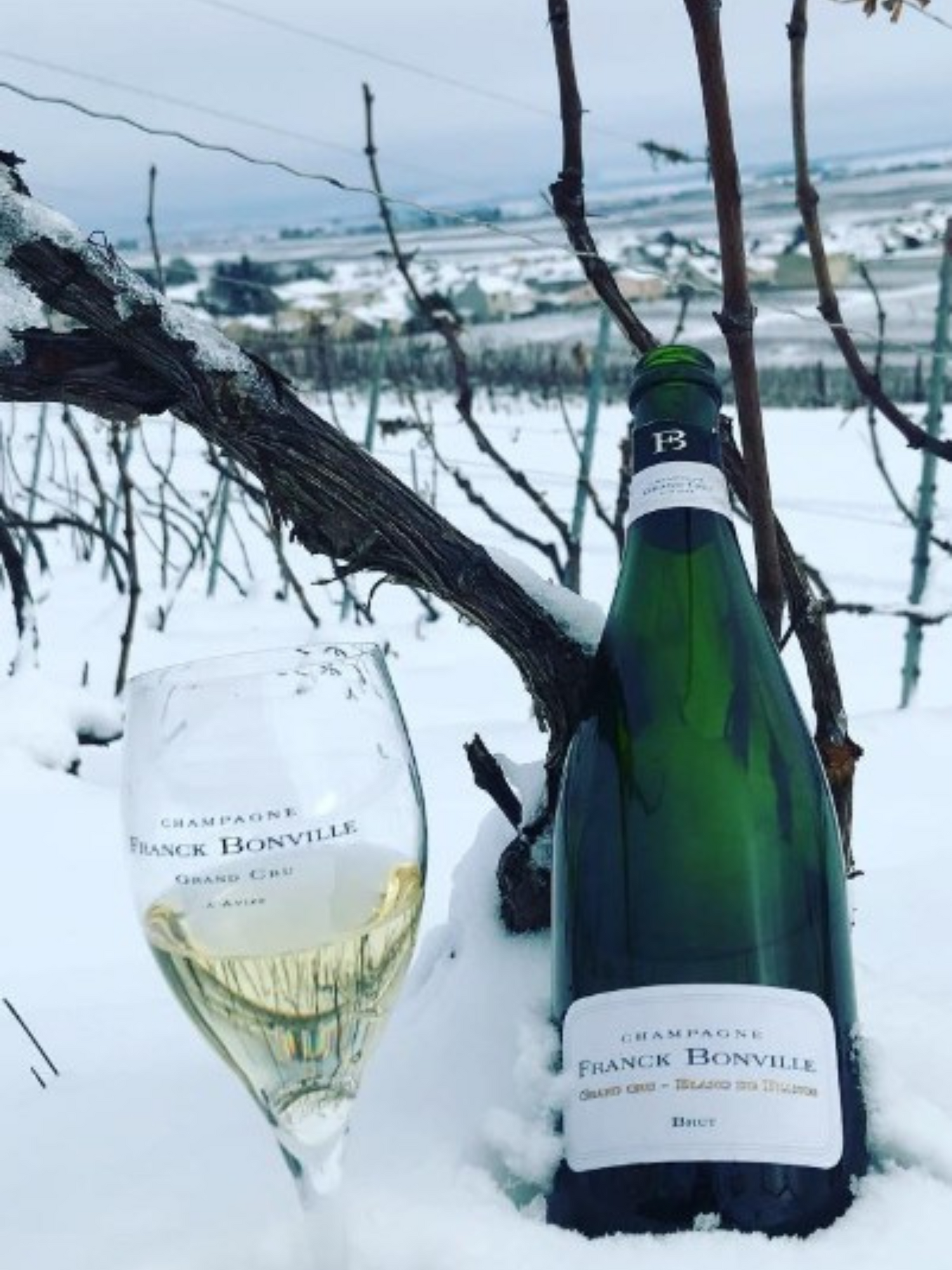 Champagne Franck Bonville