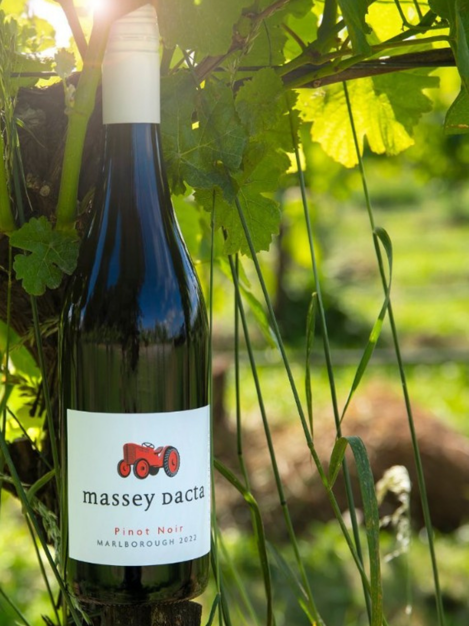 Massey Dacta