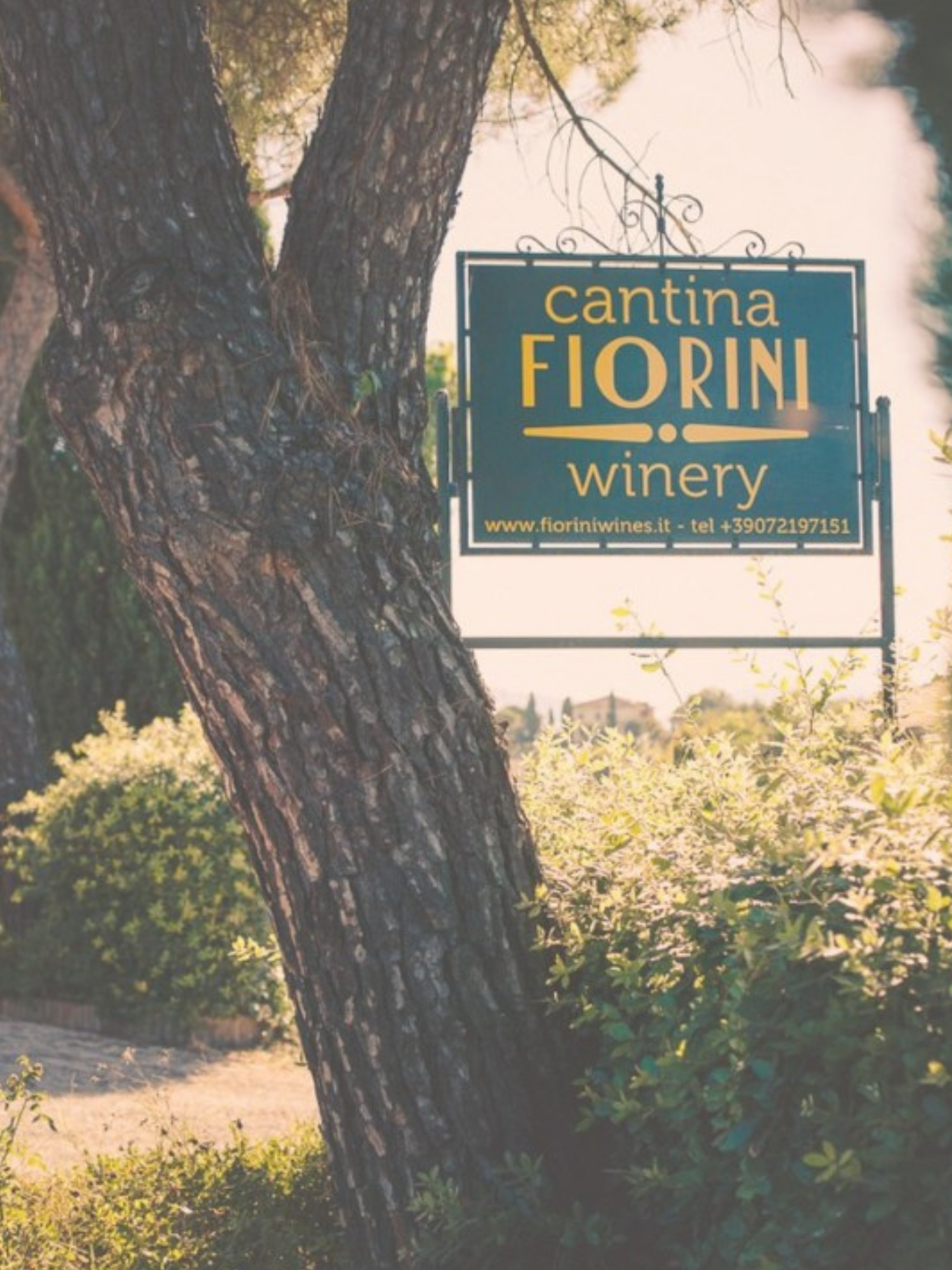 Vinetti de Fiorini