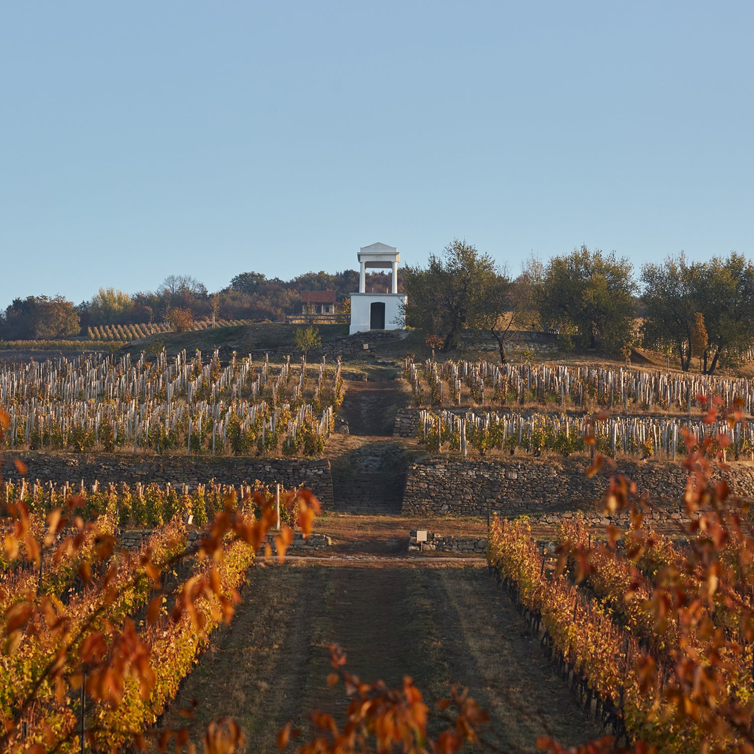 Normanby Fine Wines