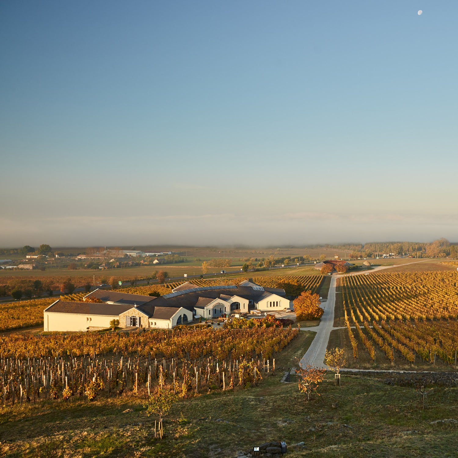 Normanby Fine Wines