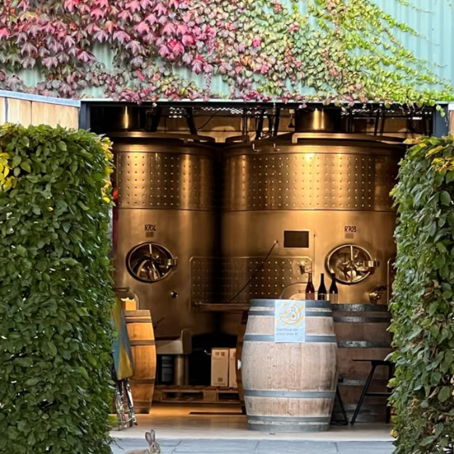 Normanby Fine Wines