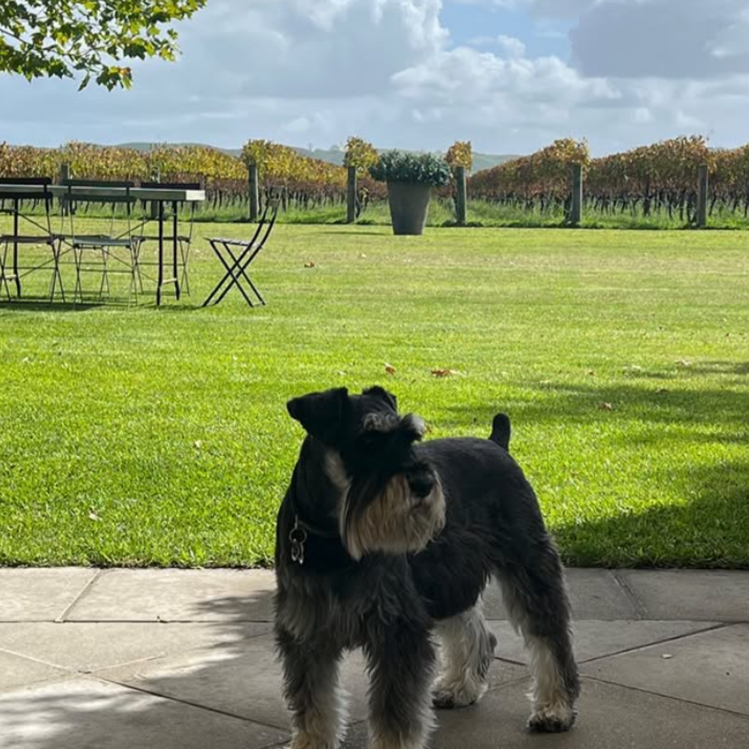 Normanby Fine Wines