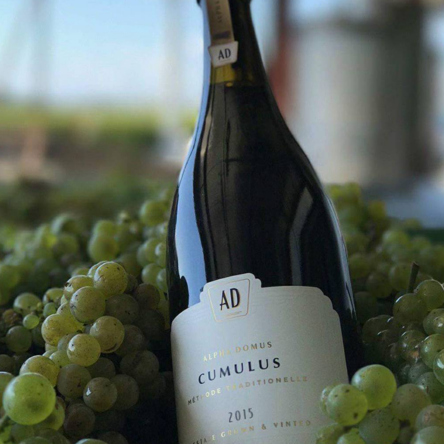 Normanby Fine Wines