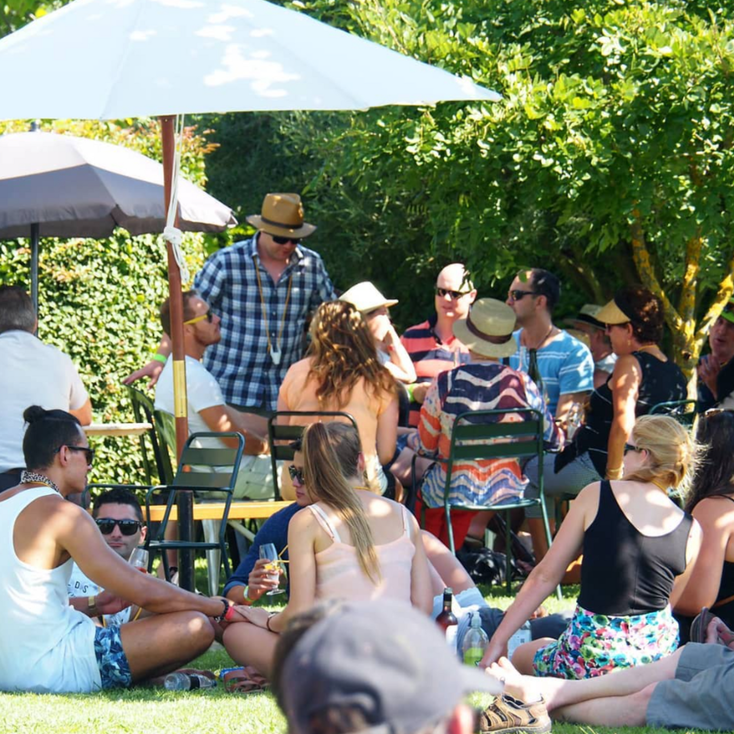 Normanby Fine Wines
