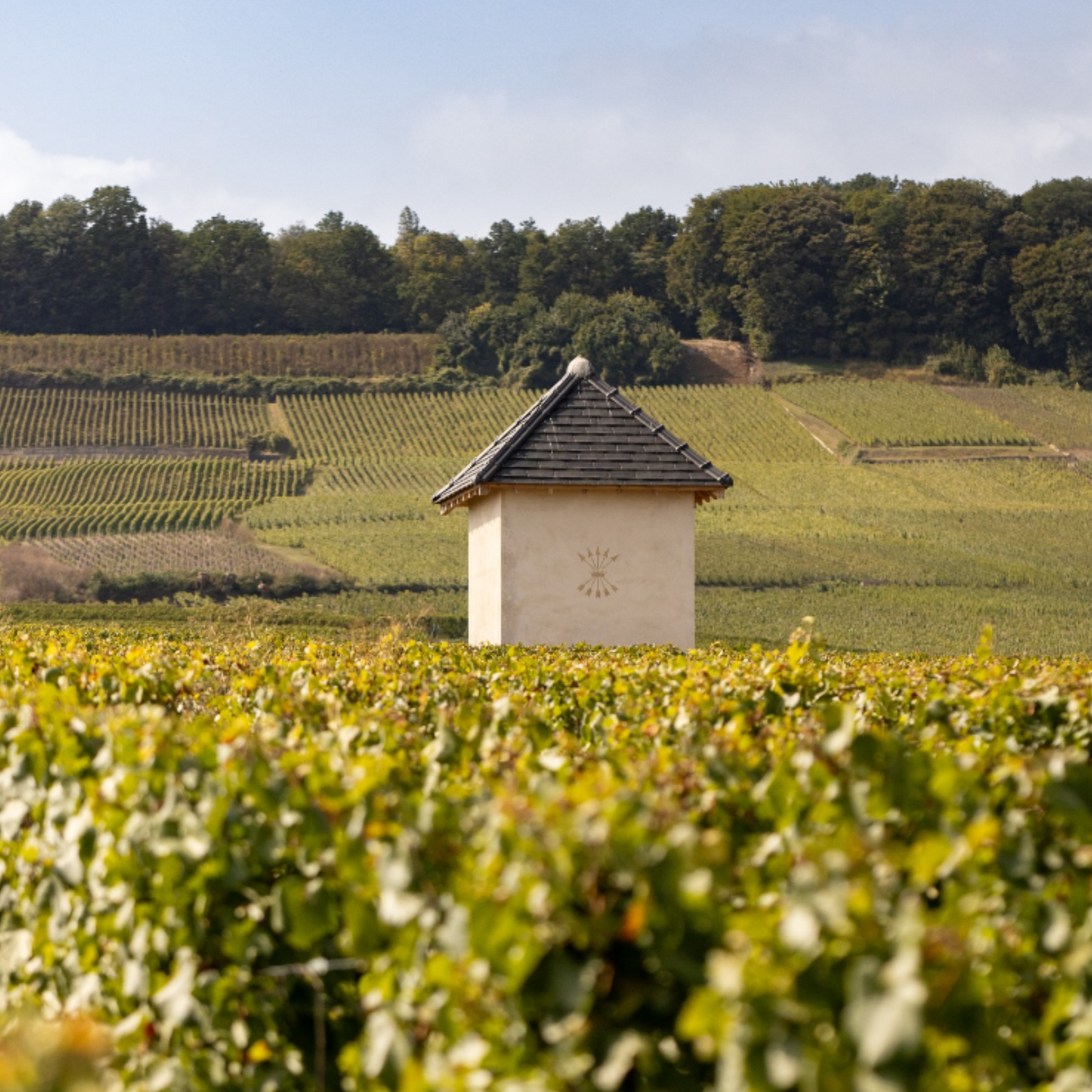 Normanby Fine Wines