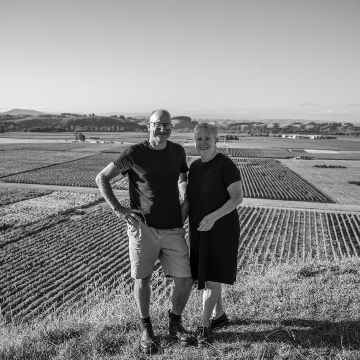 Normanby Fine Wines