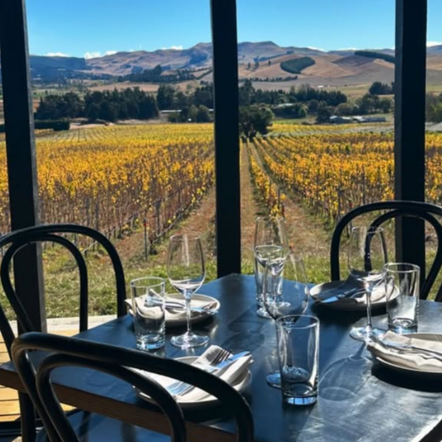 Normanby Fine Wines