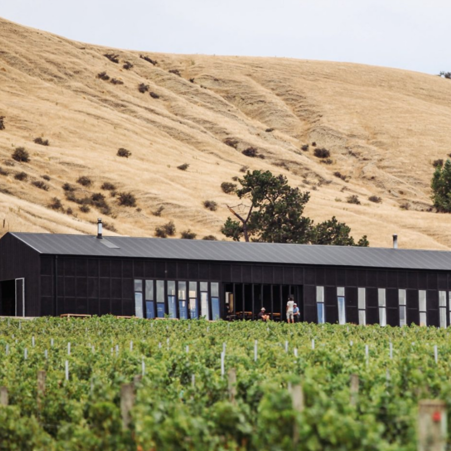 Normanby Fine Wines