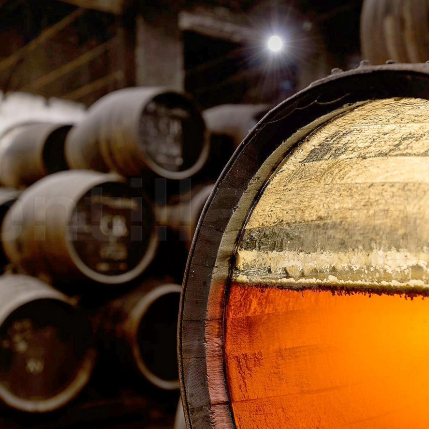 Normanby Fine Wines