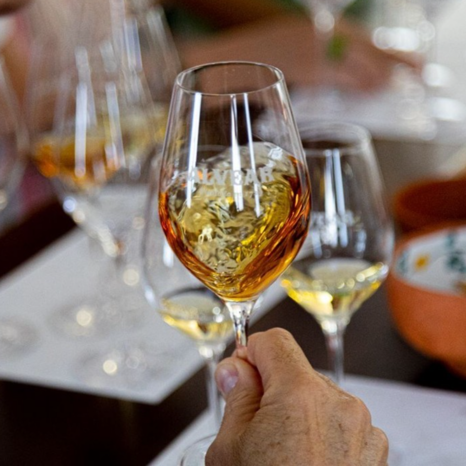 Normanby Fine Wines