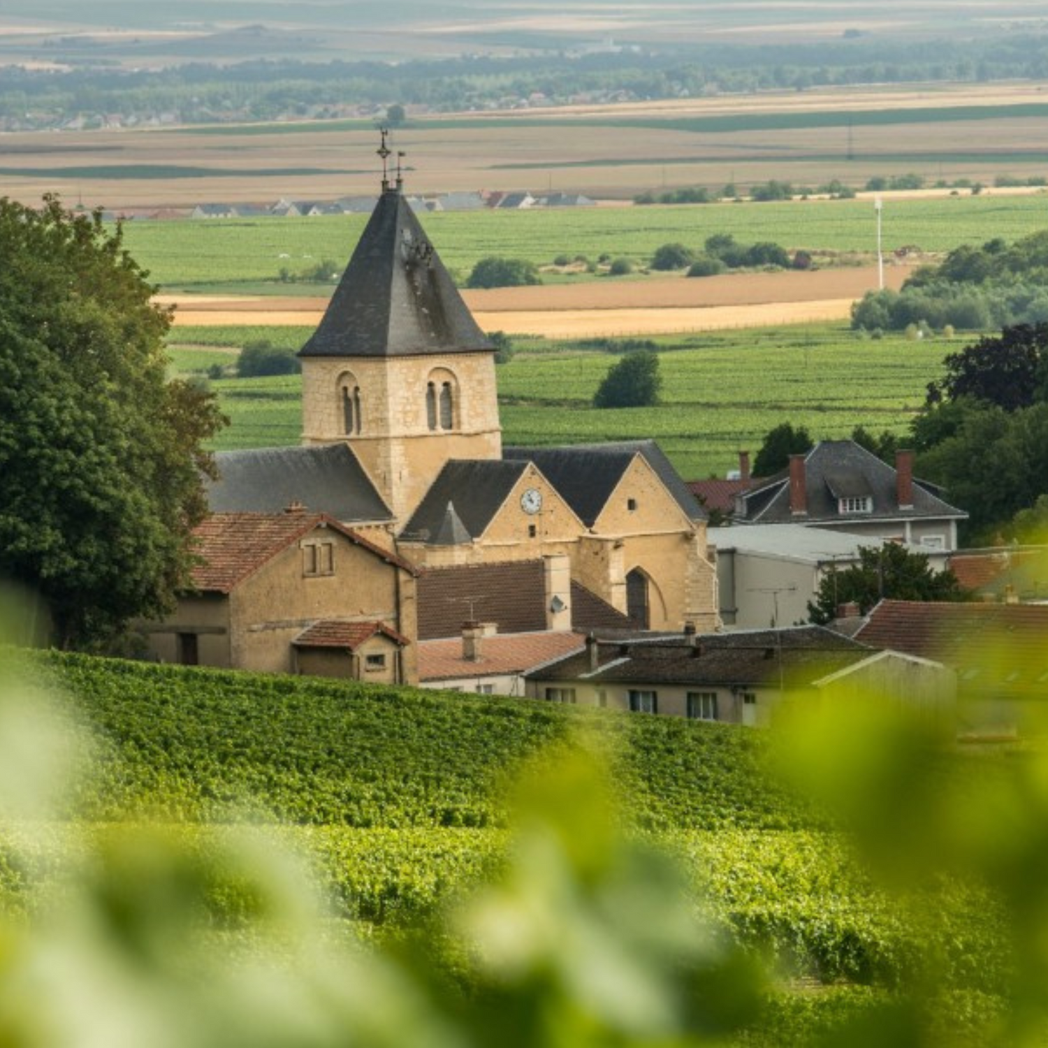 Normanby Fine Wines