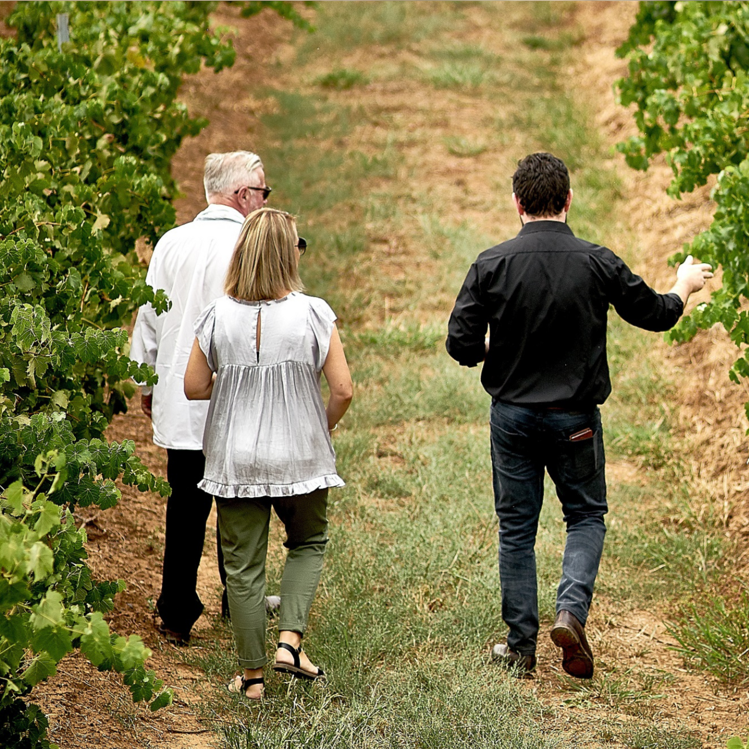 Normanby Fine Wines