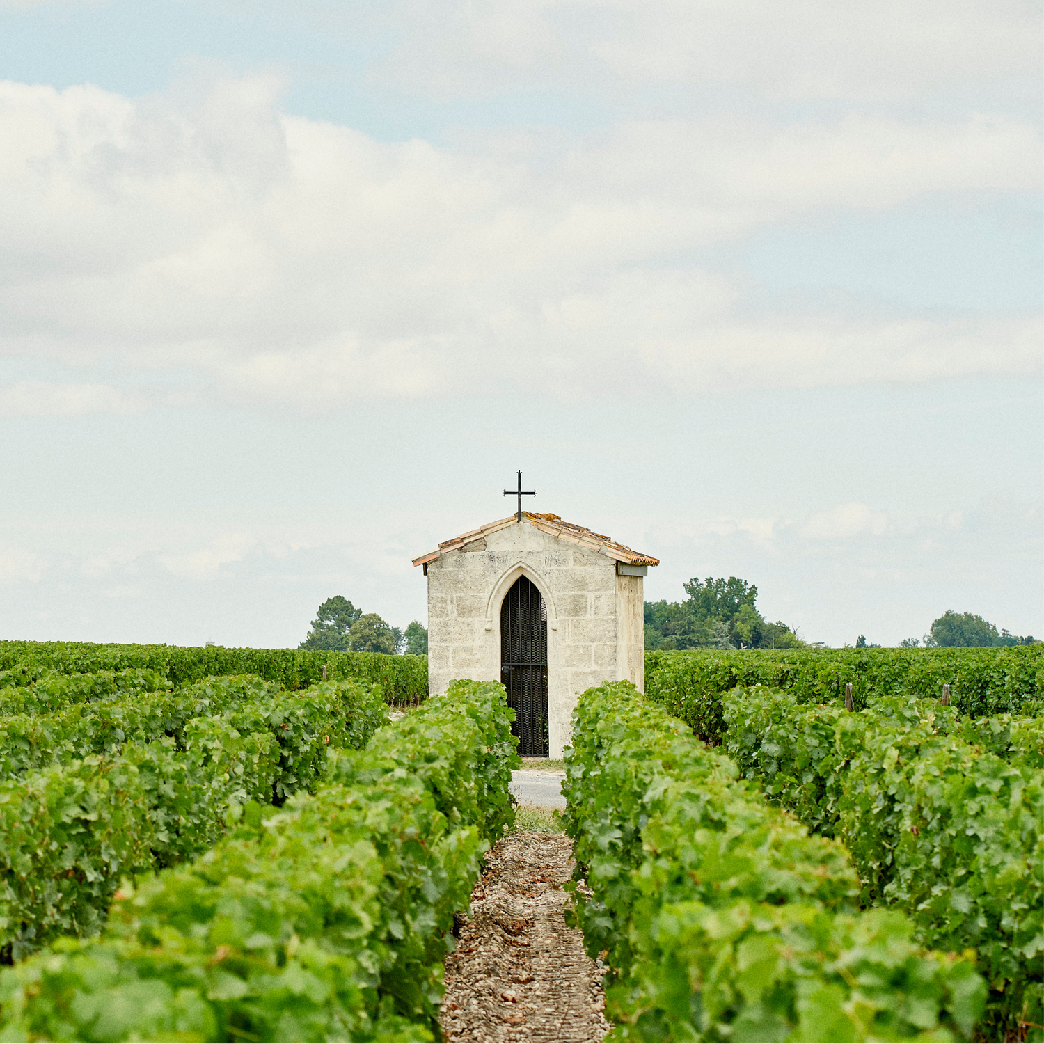 Normanby Fine Wines