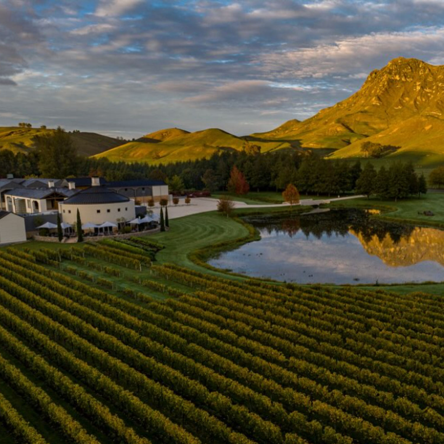 Normanby Fine Wines