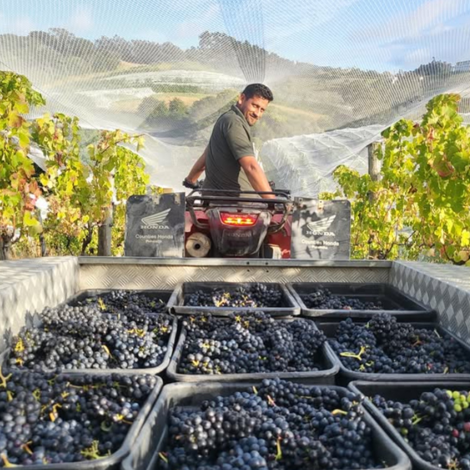 Normanby Fine Wines