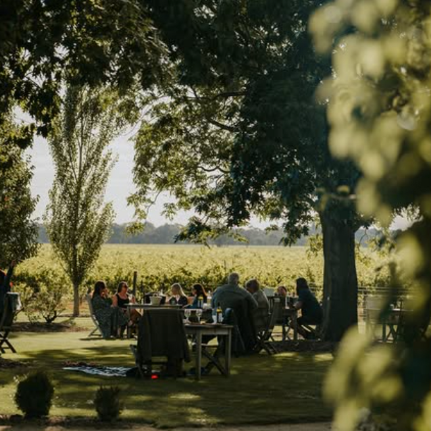 Normanby Fine Wines