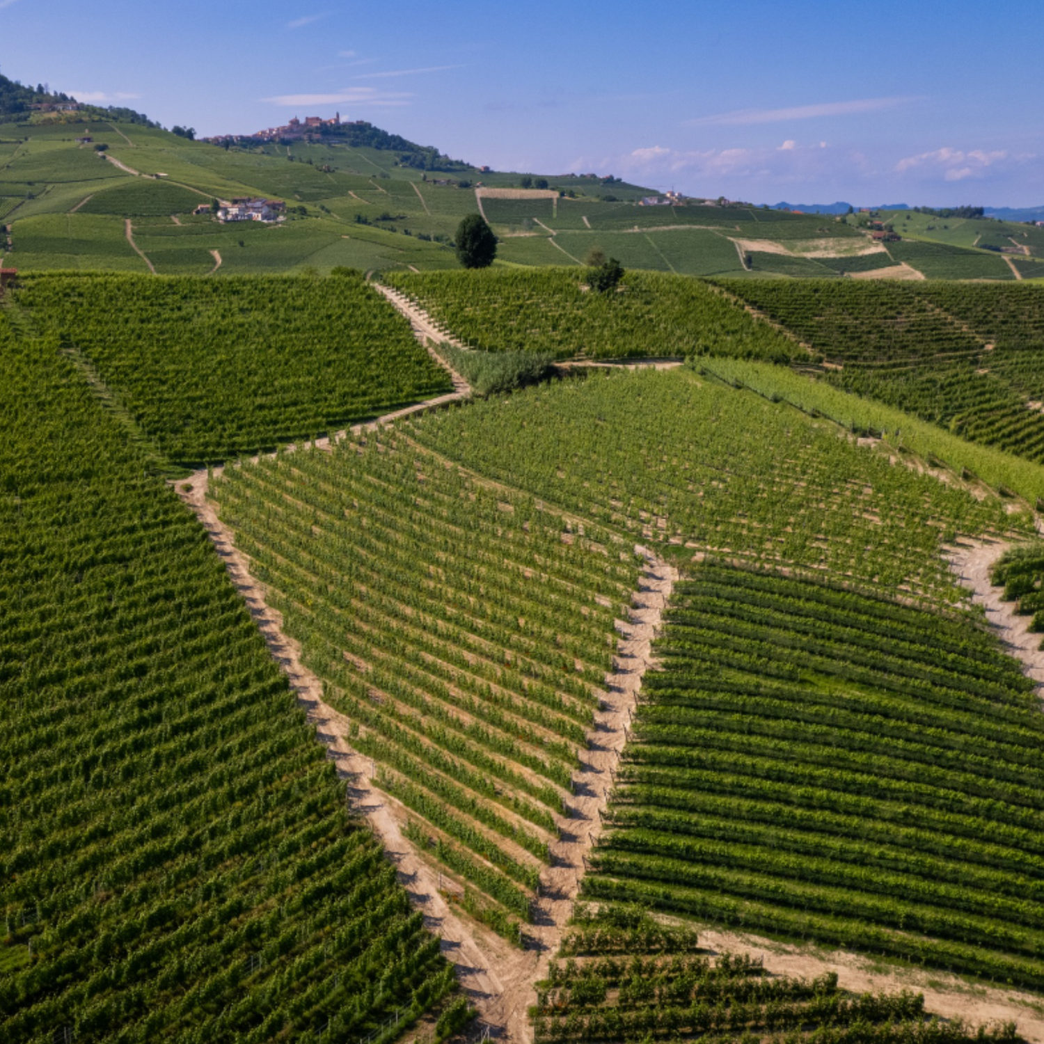 Normanby Fine Wines