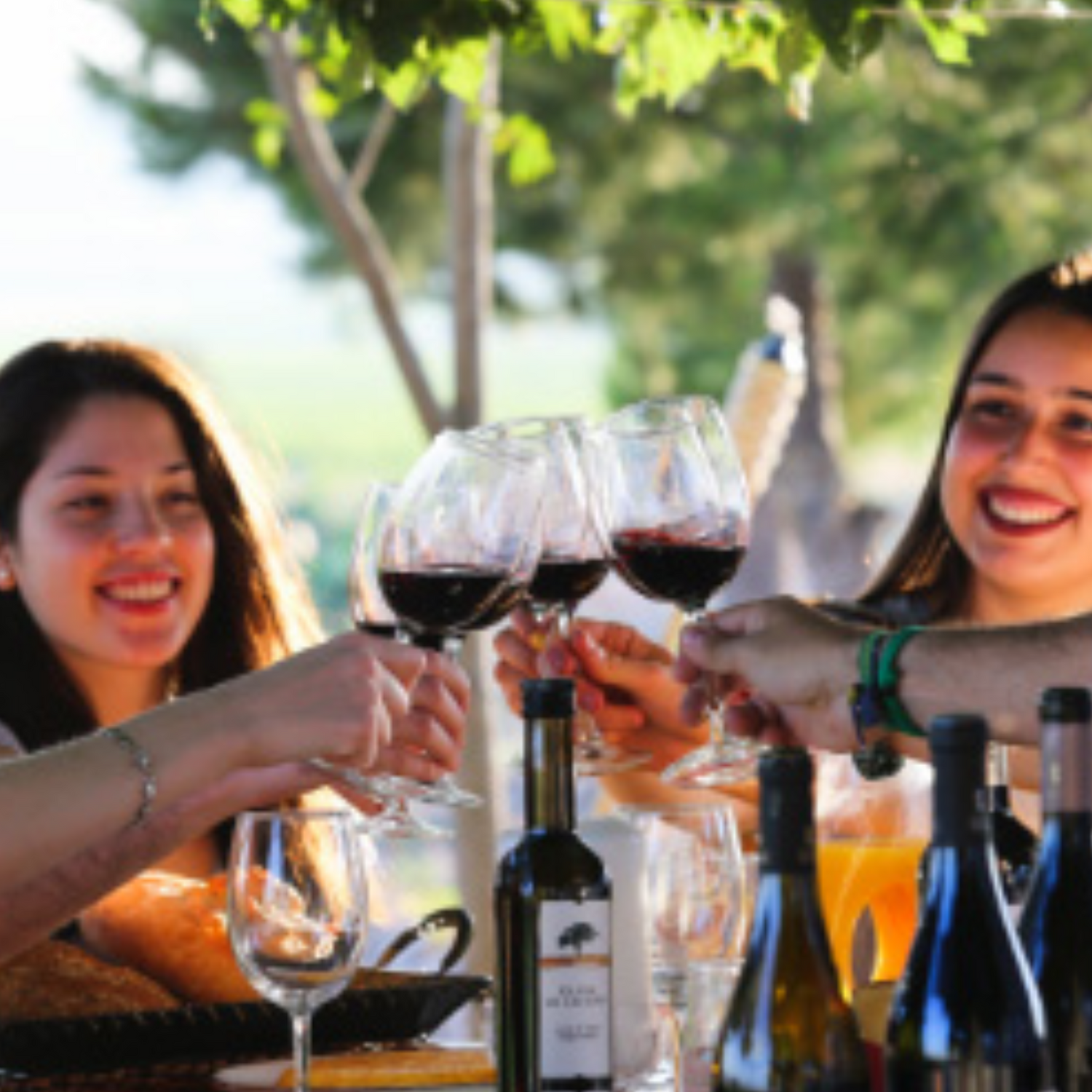 Normanby Fine Wines