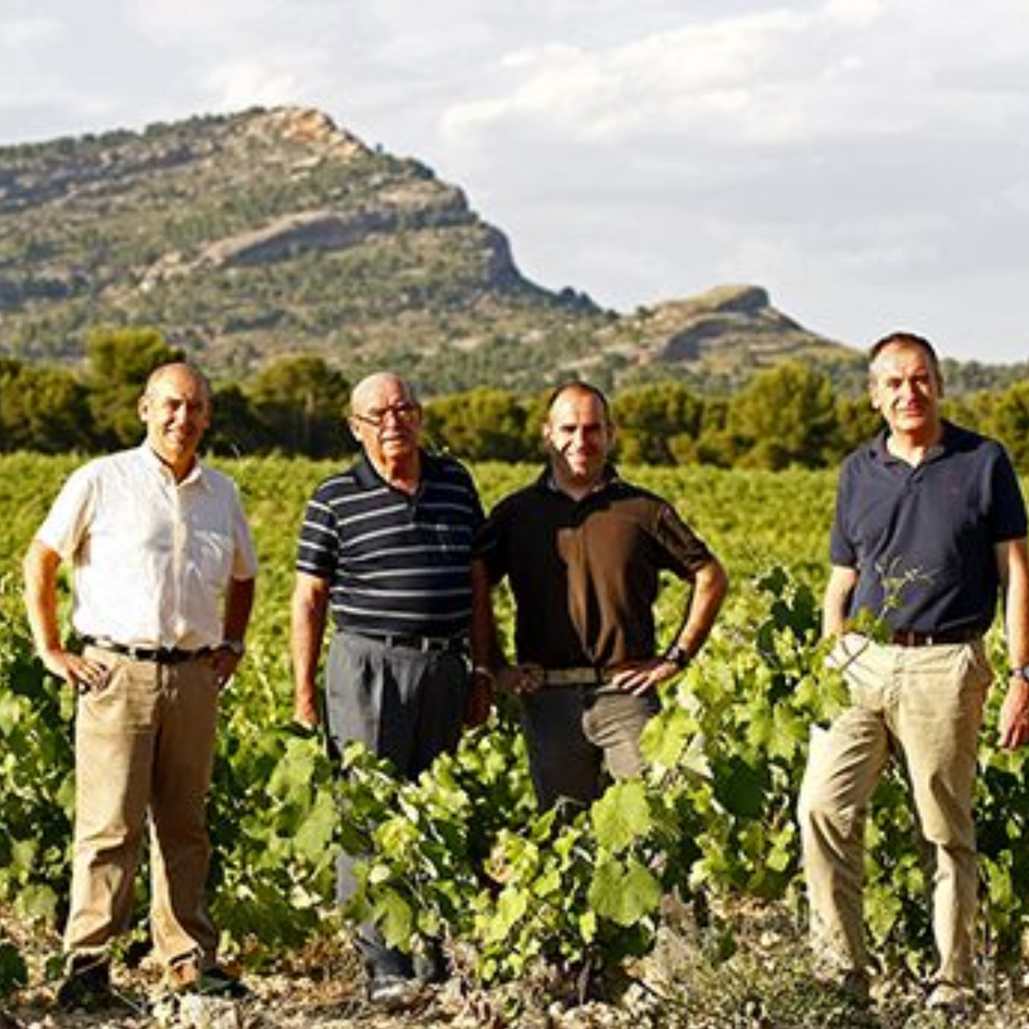 Normanby Fine Wines