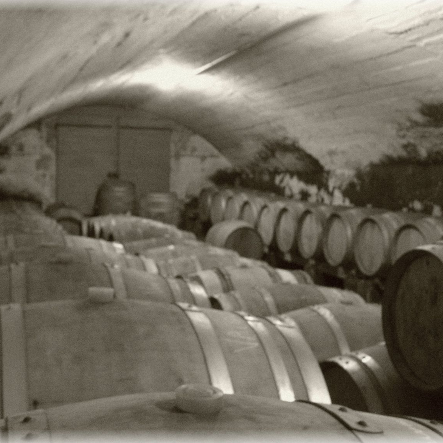 Normanby Fine Wines