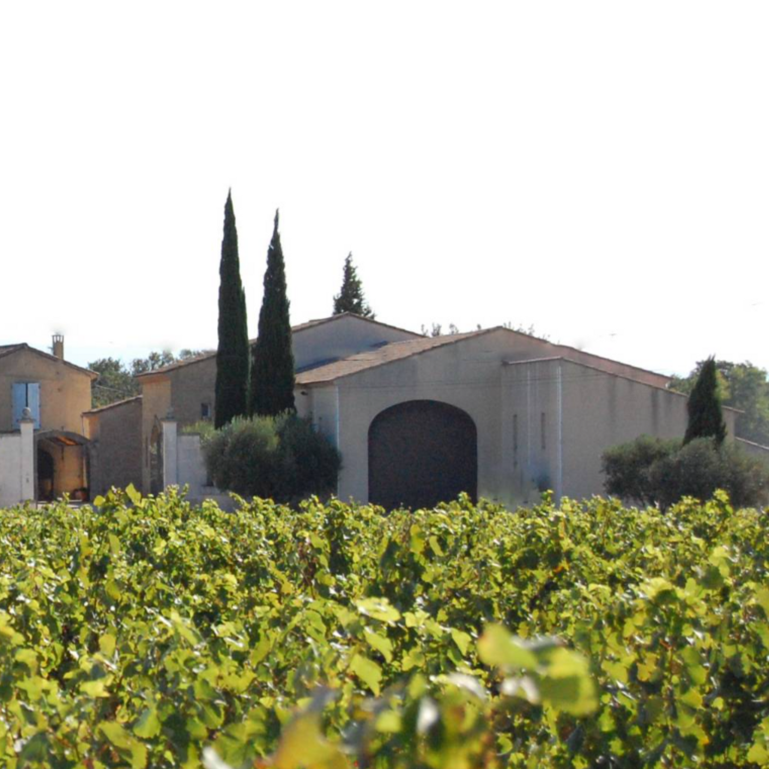 Normanby Fine Wines