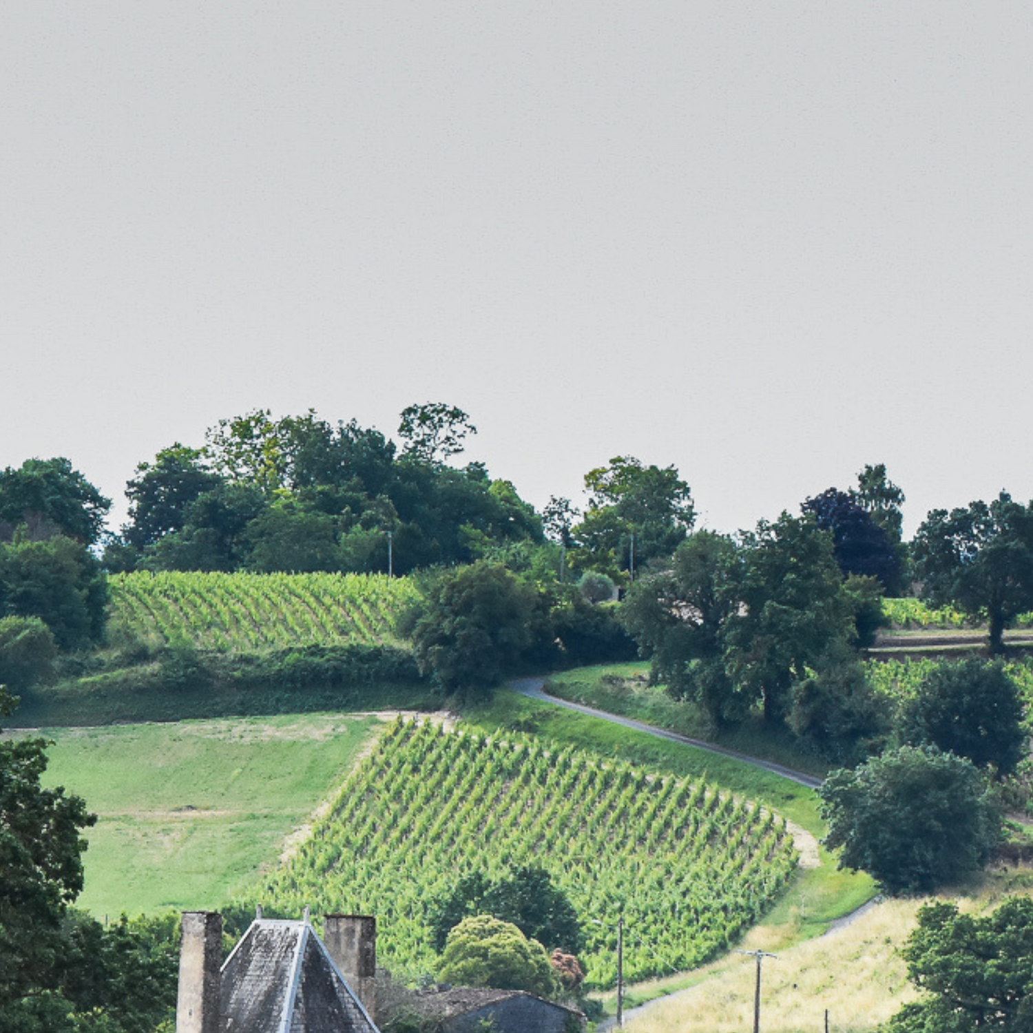 Normanby Fine Wines