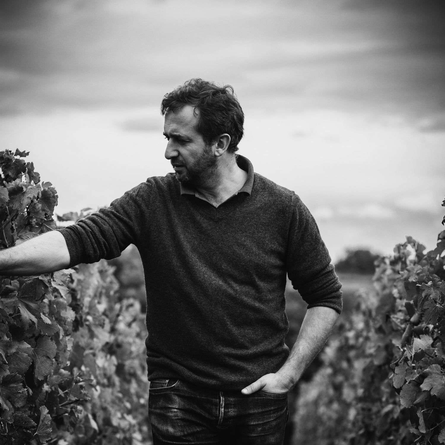 Normanby Fine Wines