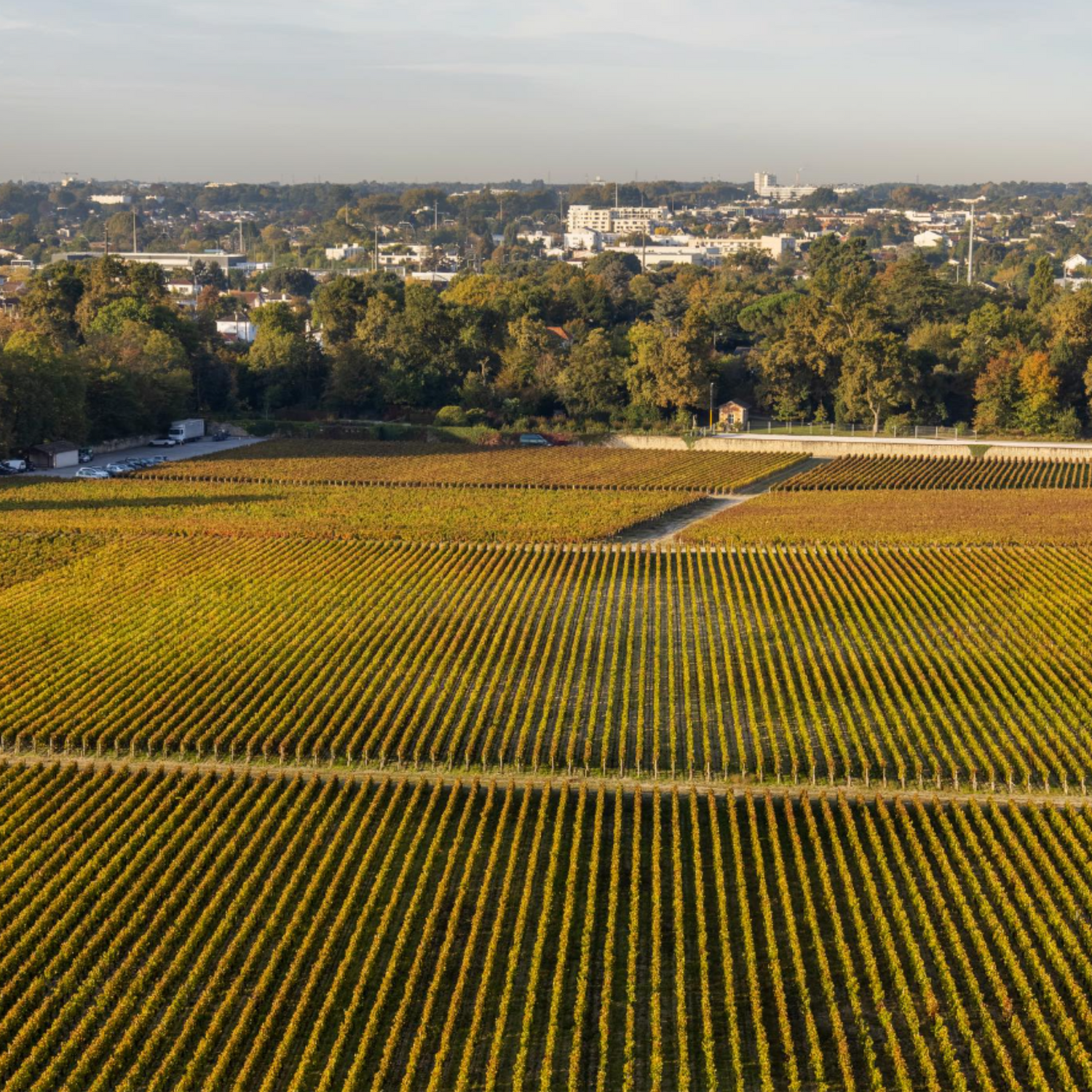 Normanby Fine Wines