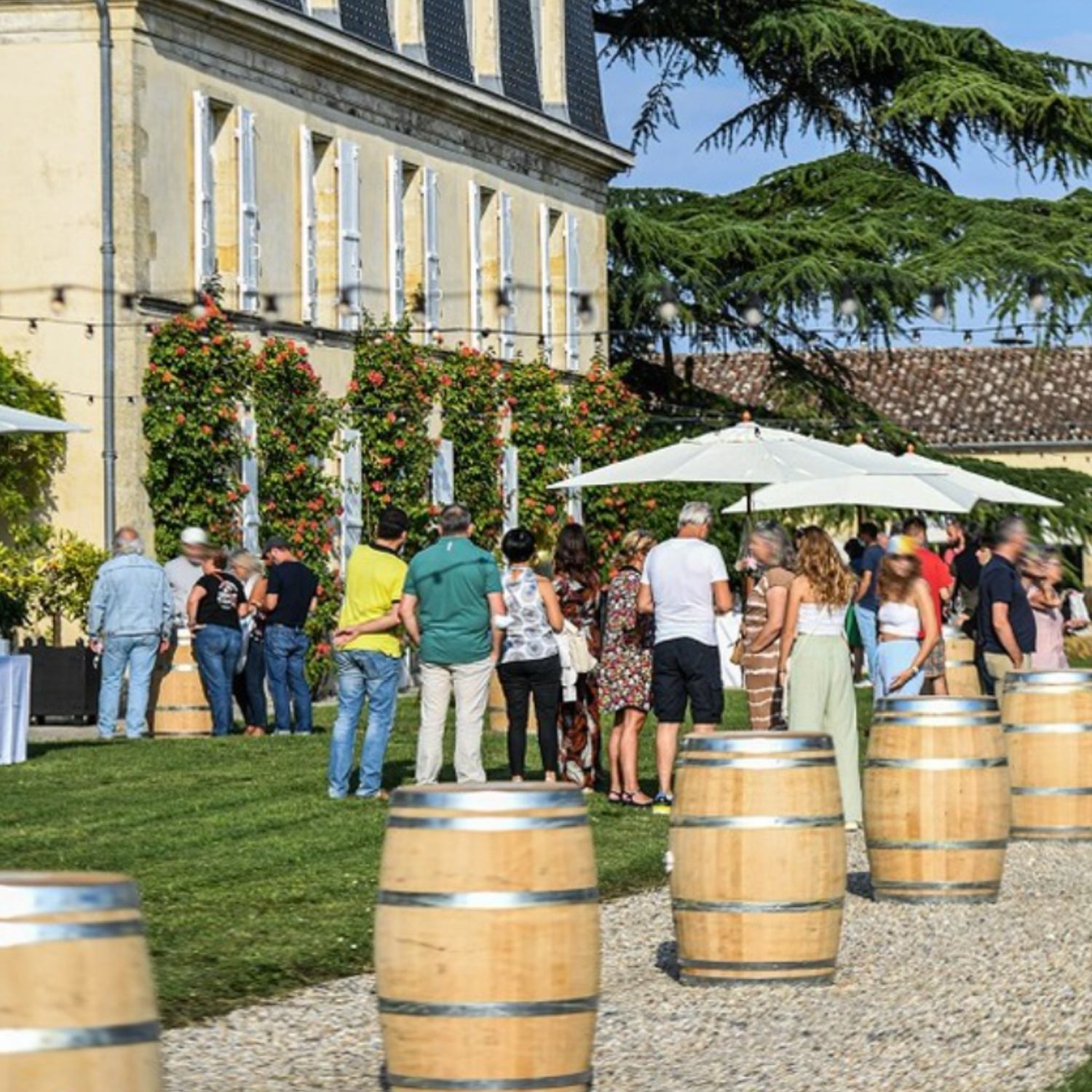 Normanby Fine Wines