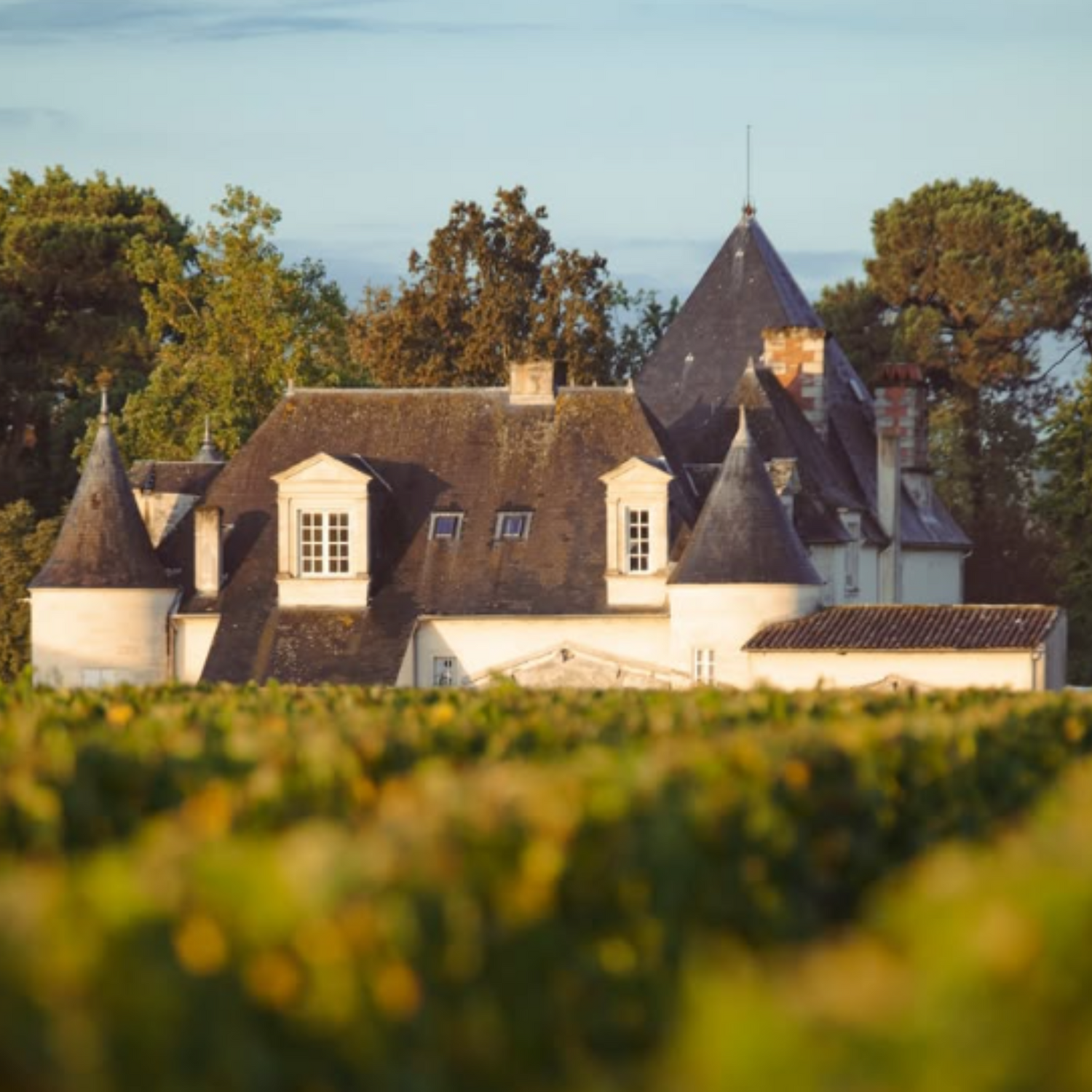 Normanby Fine Wines