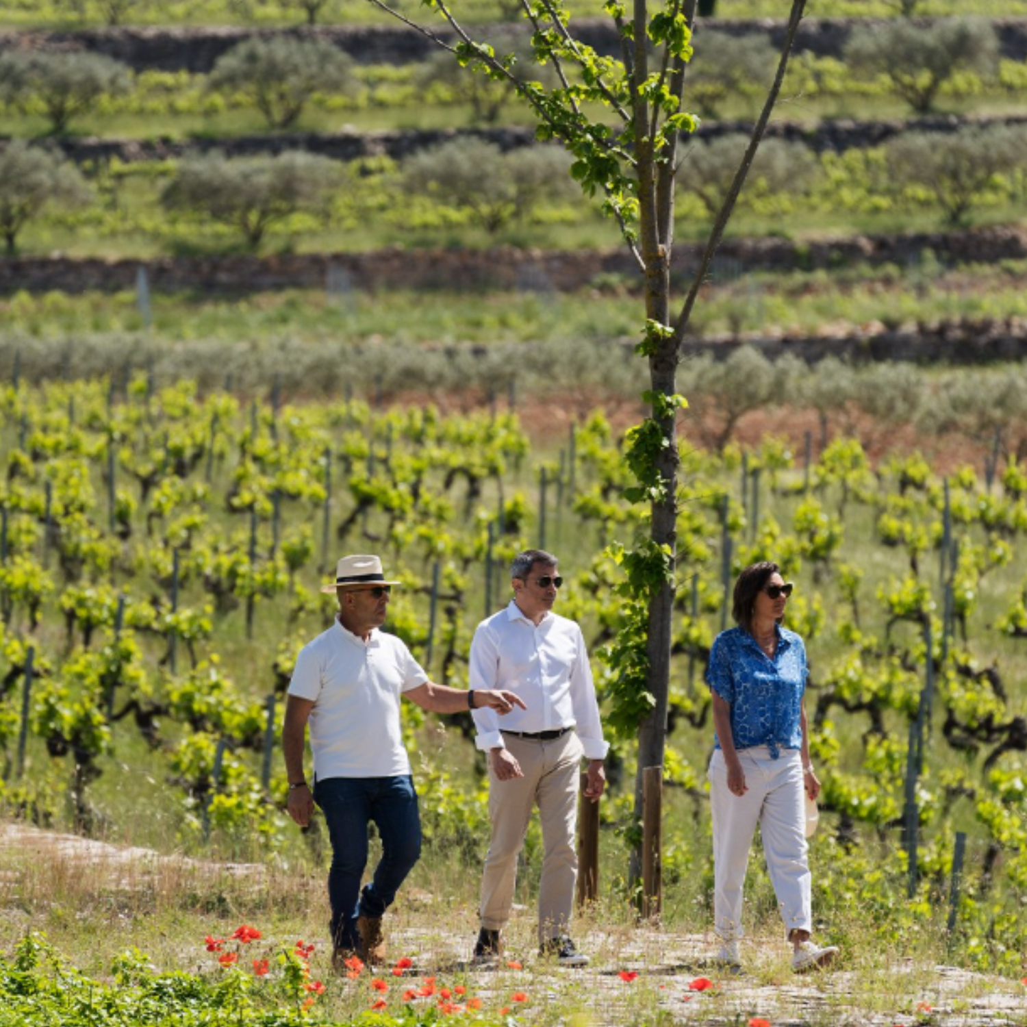 Normanby Fine Wines