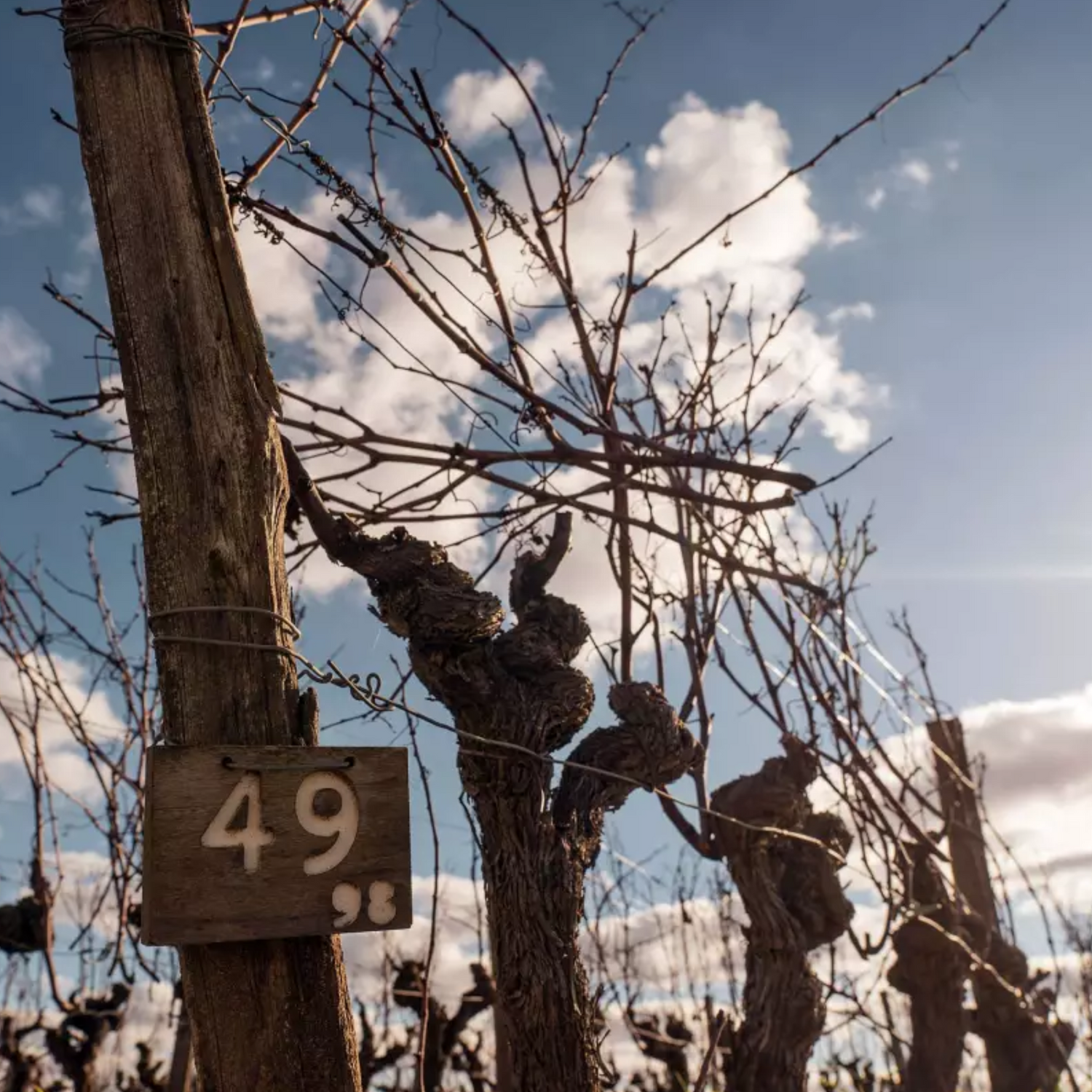 Normanby Fine Wines