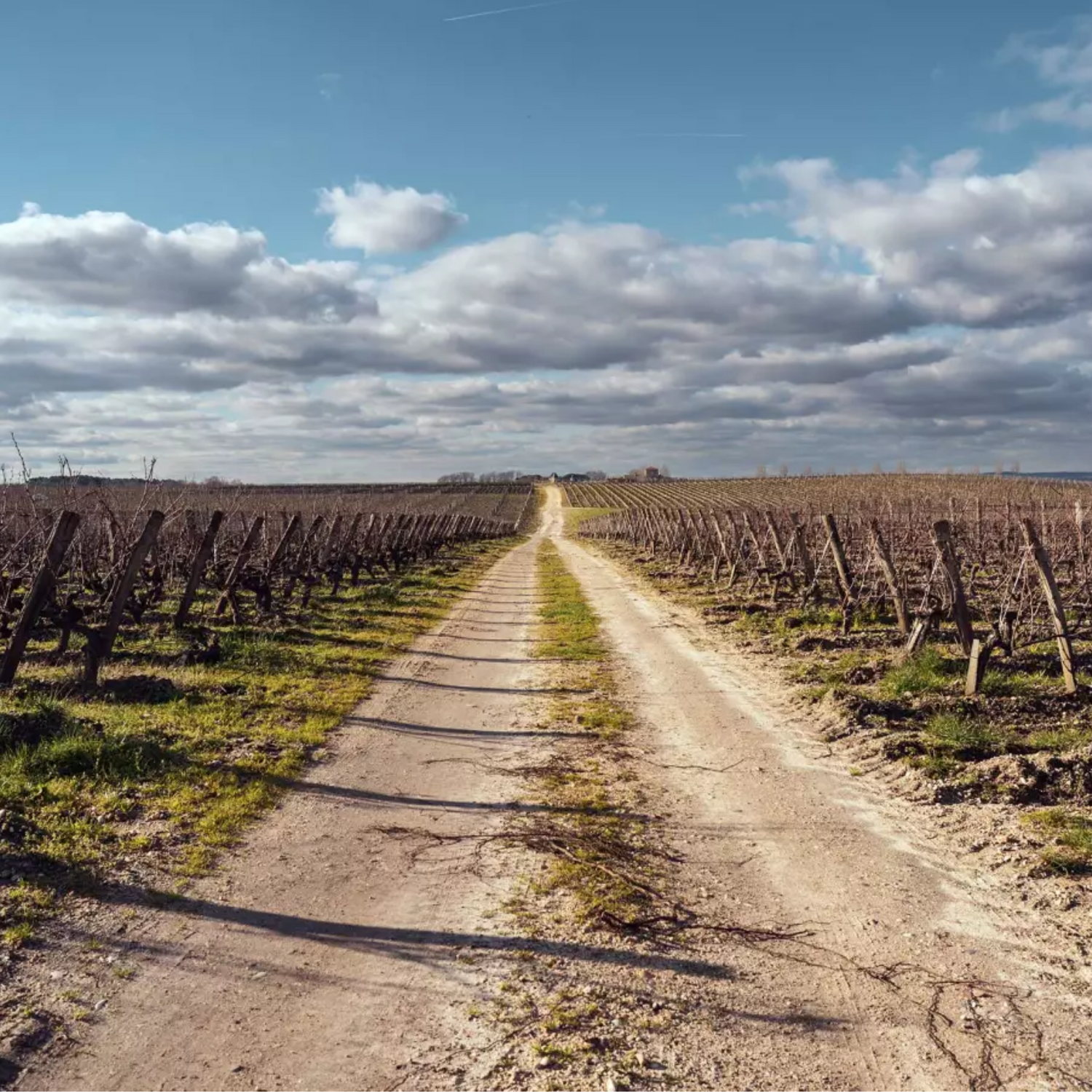 Normanby Fine Wines