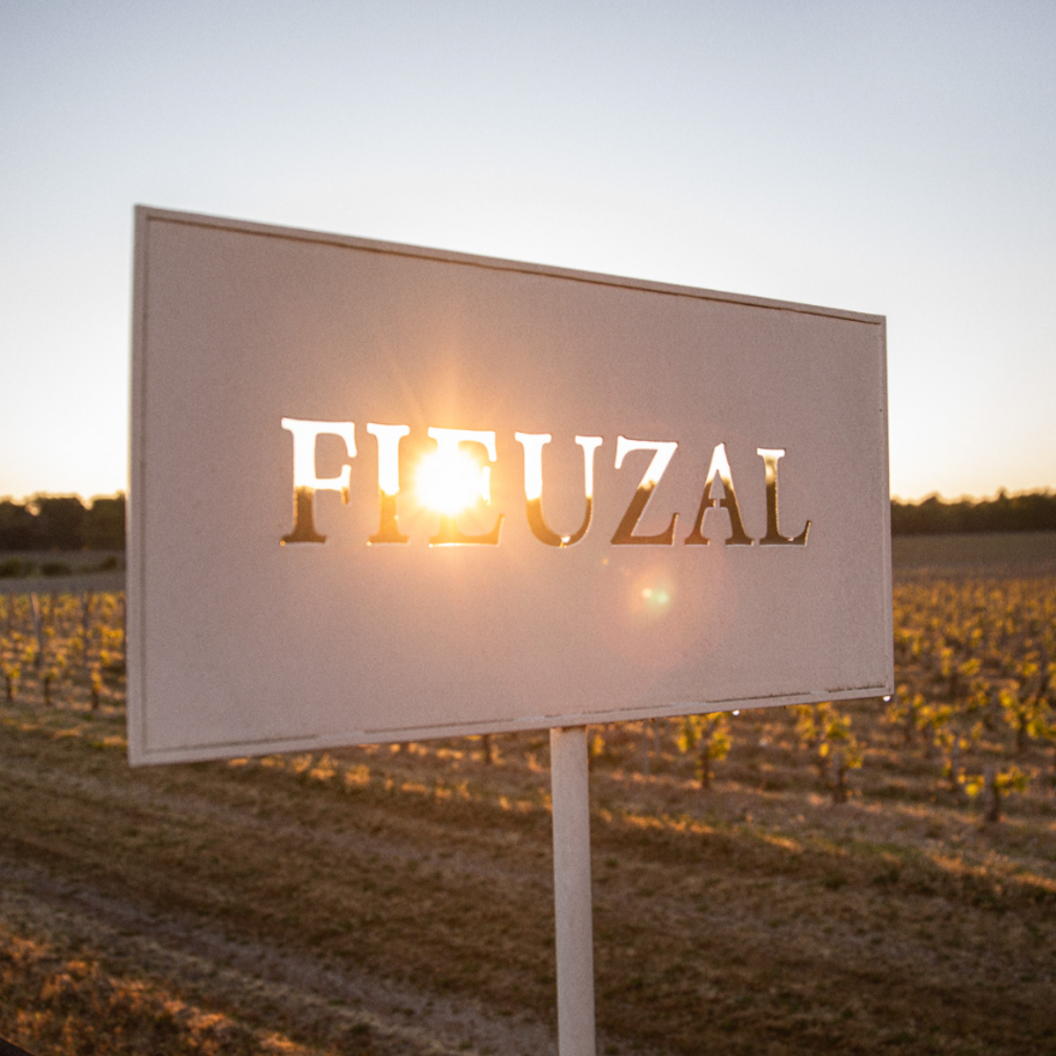 Normanby Fine Wines