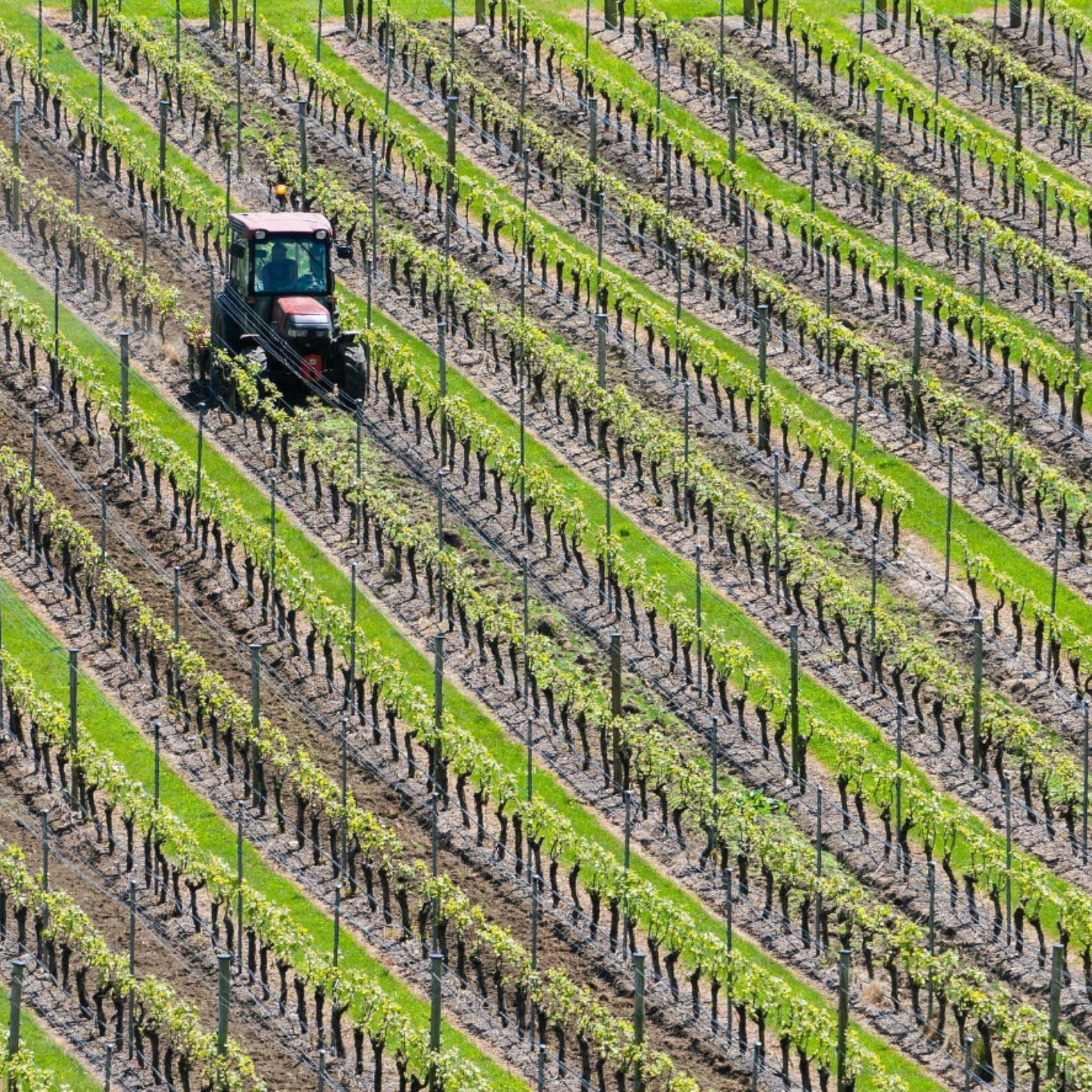 Normanby Fine Wines