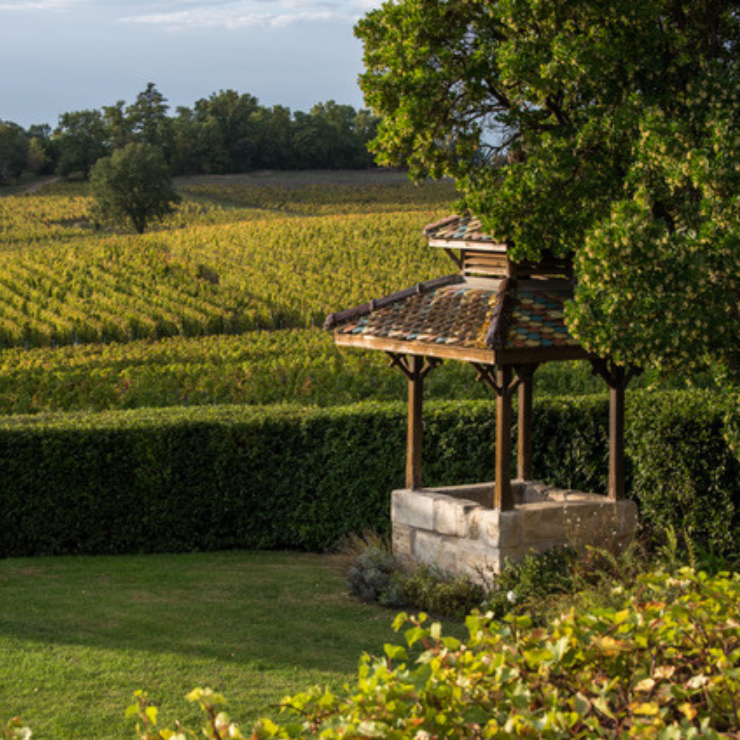 Normanby Fine Wines
